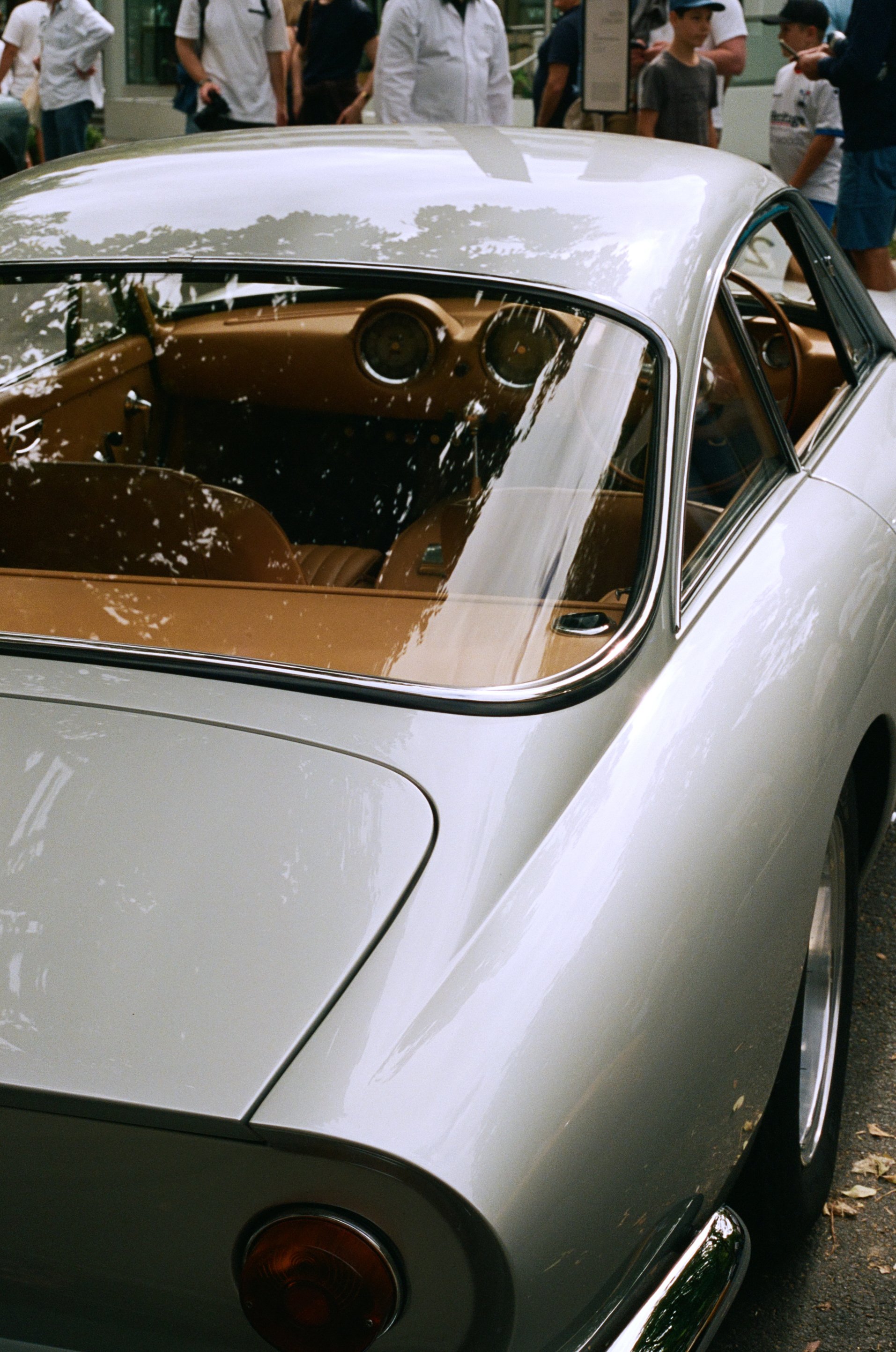 NoosaConcoursimg_023 1.jpg