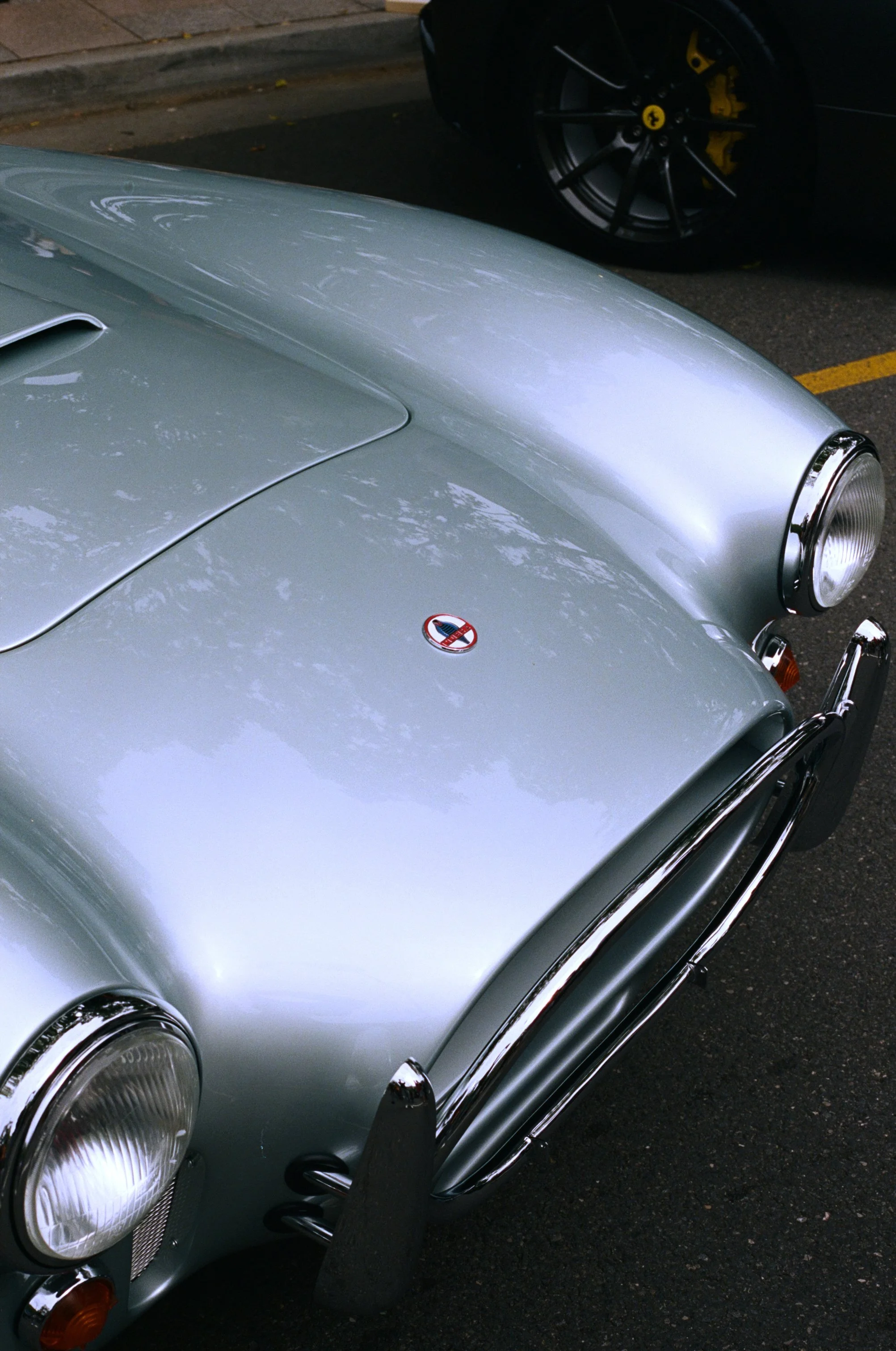 NoosaConcoursimg_002 1.jpg