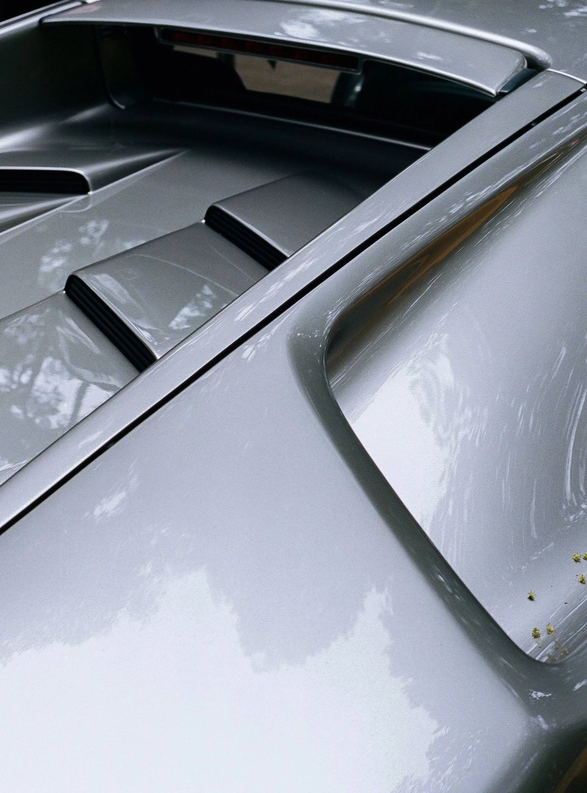 NoosaConcoursimg_014 1.jpg