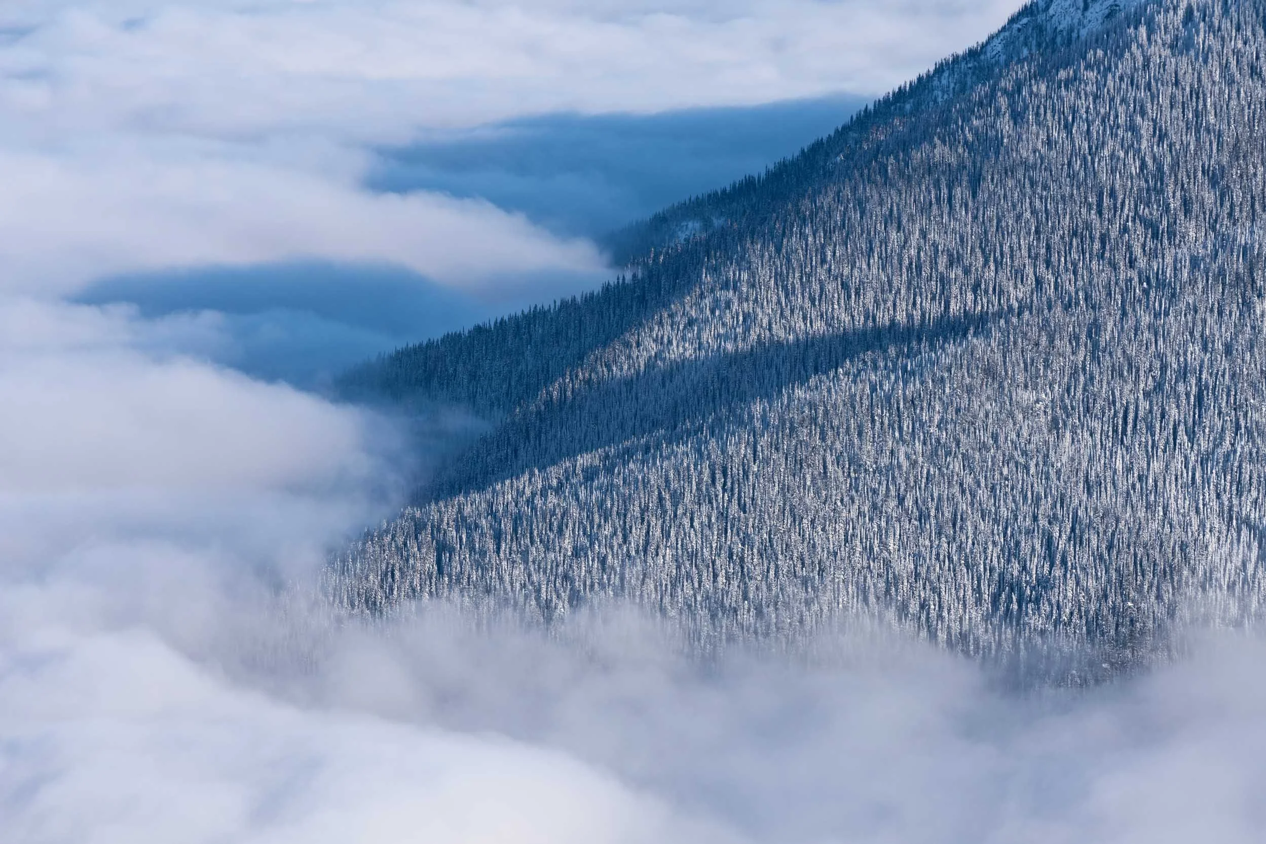 Inversion, Revelstoke, Canada