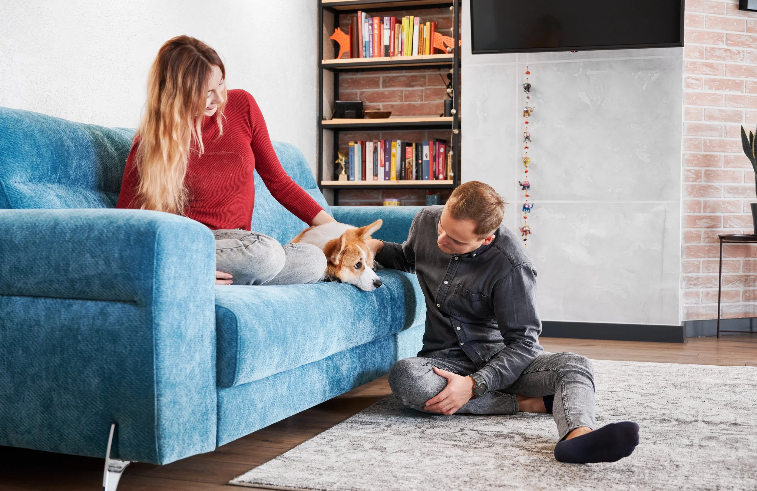 A woman and a man with a dog on a blue sofa in a living room with a brick wall, a bookshelf, a TV, and a potted plant.