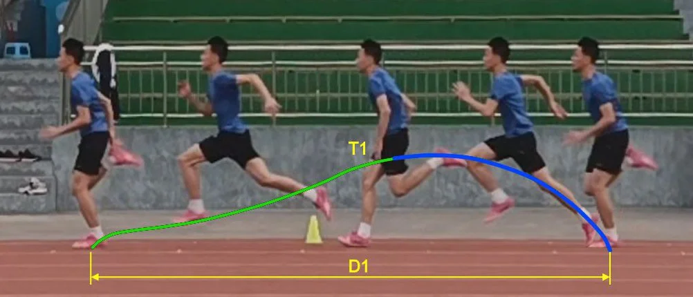 UNDERSTANDING STRIDE LENGTH IN RUNNING — Motion-Mastery S t u d i o