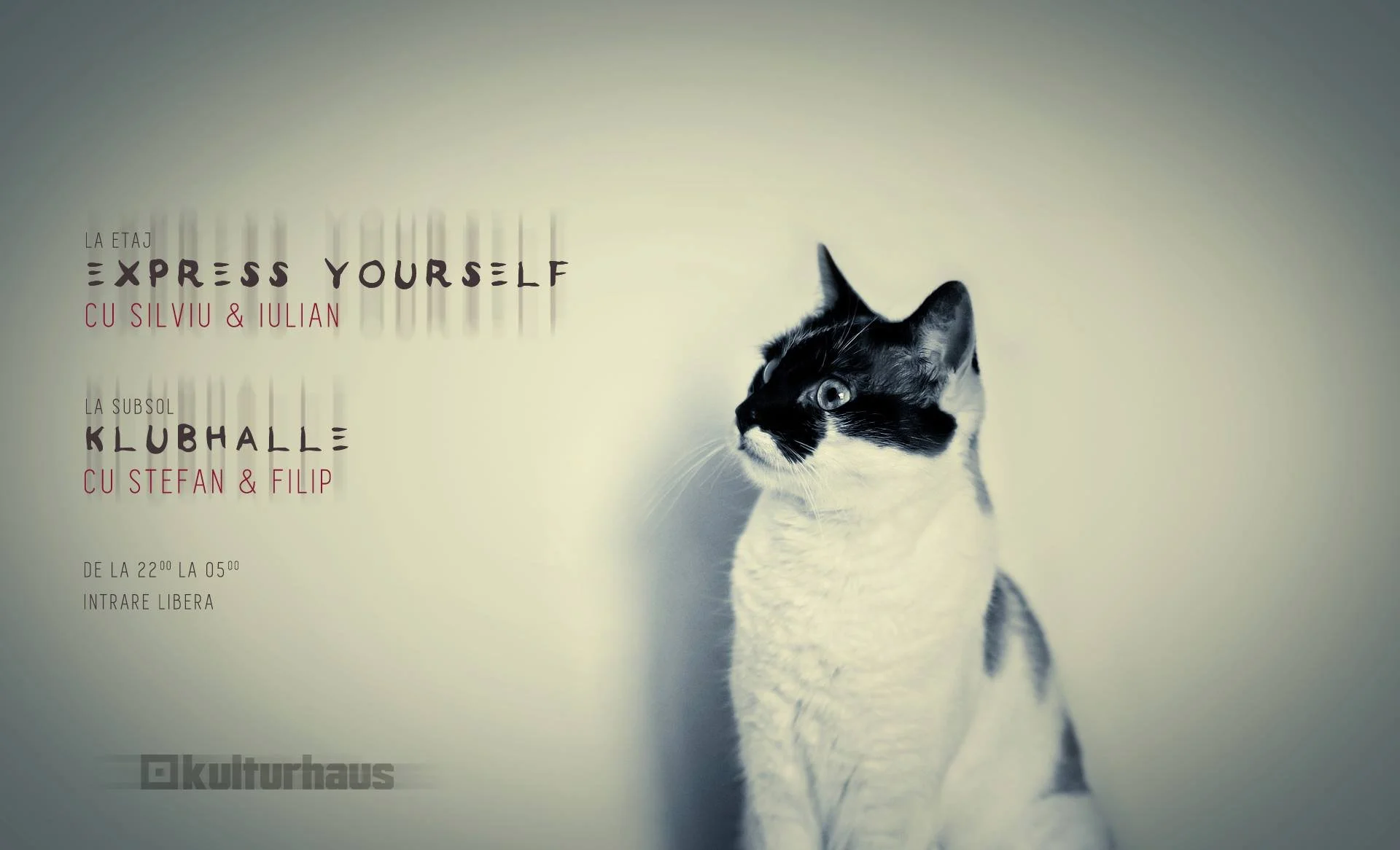 Event poster with a black and white cat looking to the right, advertising an art exhibition titled 'Express Yourself' by Silviu and Iulian at the Klubhalle in Subsol, with dates from 22:00 to 05:00, free entry.