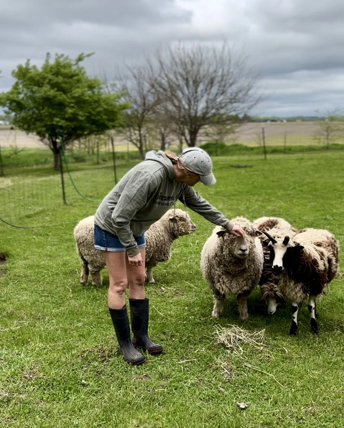 A person wearing a gray hoodie, a baseball cap, and rain boots is petting a sheep in a grassy field, with other sheep and trees in the background.