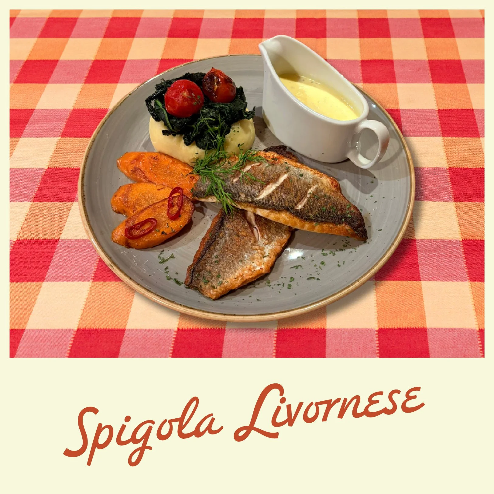 Web_Specials_Holding Dev_Spi. Livorness.jpg