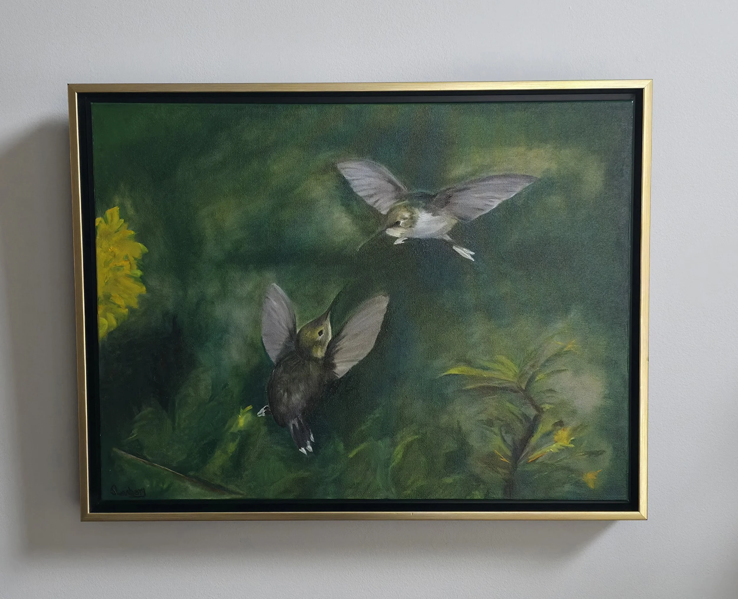 Hummingbird framed.jpg