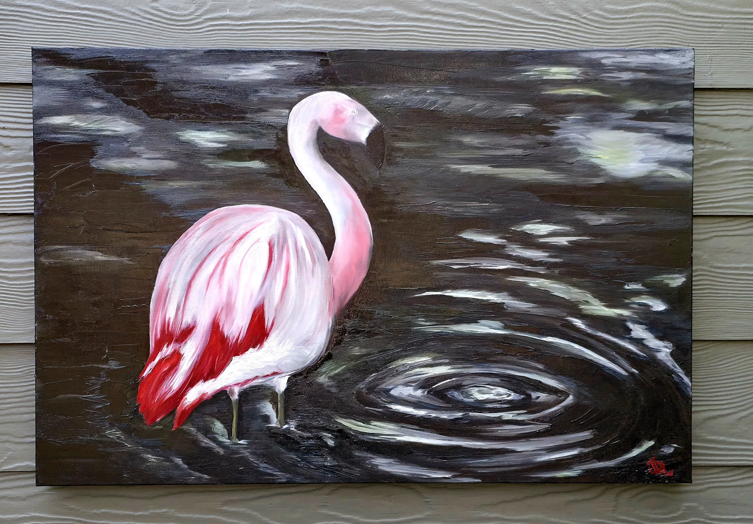 Flamingo 1.jpg