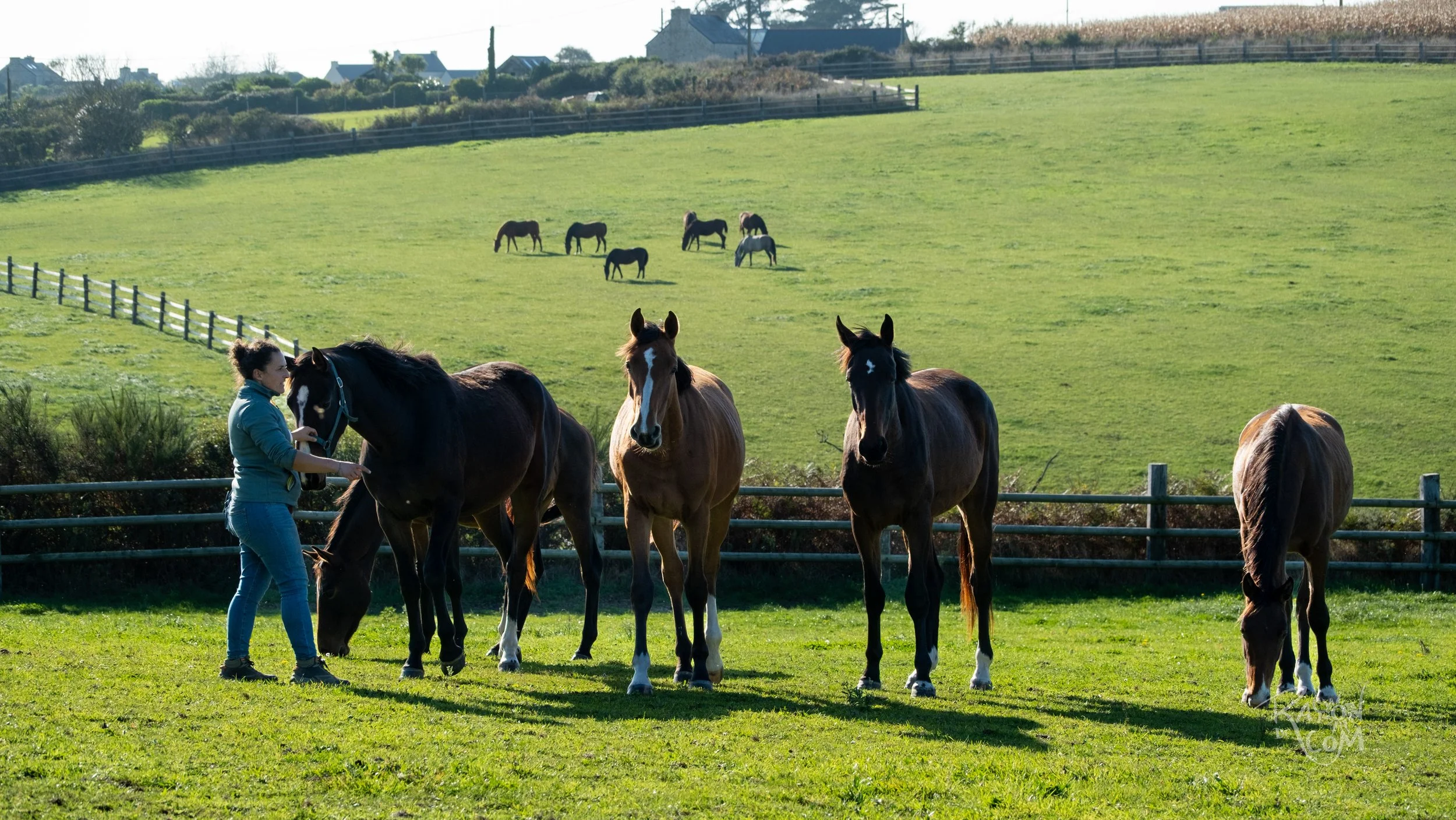 Rayon de Com -187.jpg