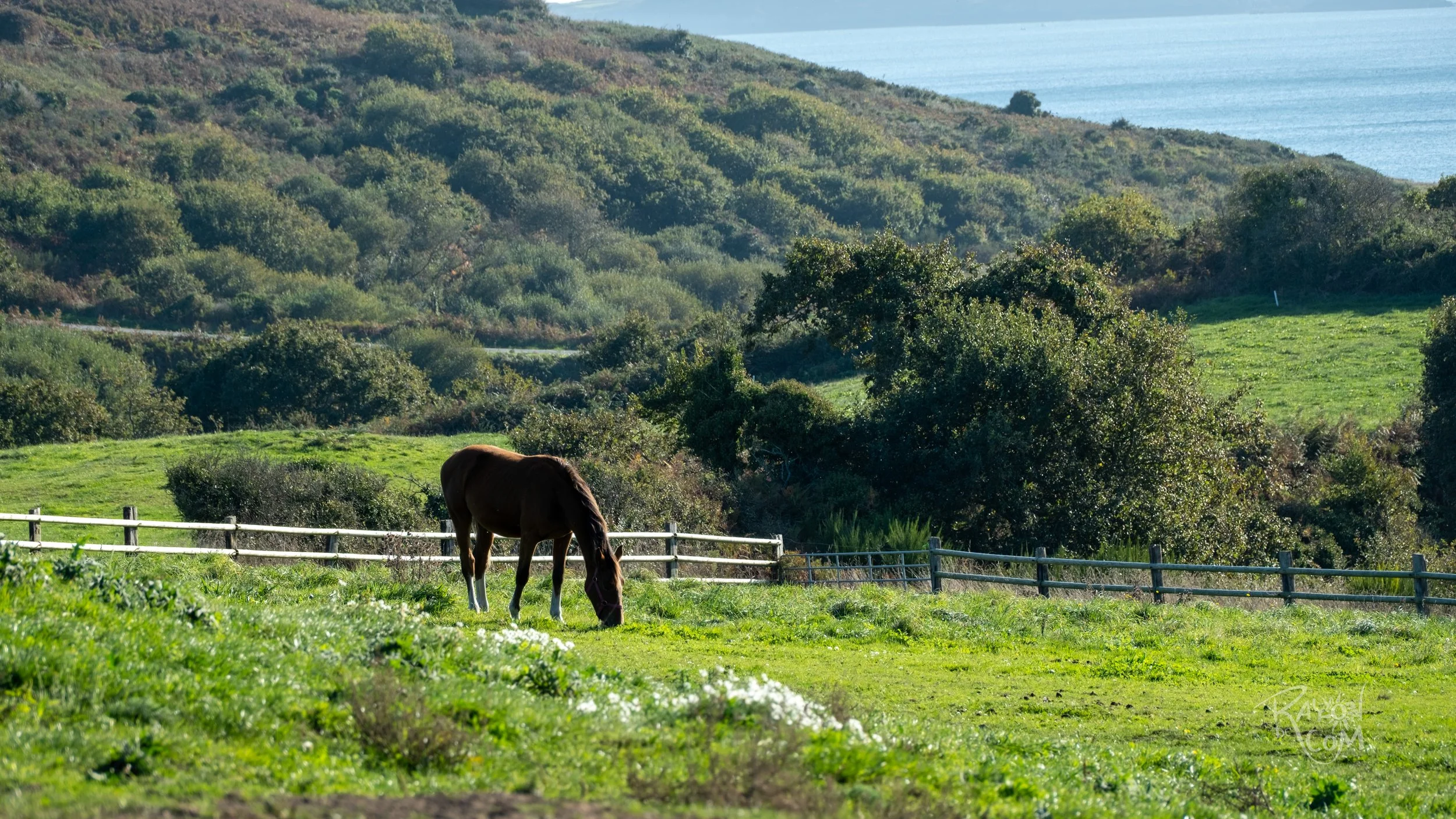 Rayon de Com -196.jpg