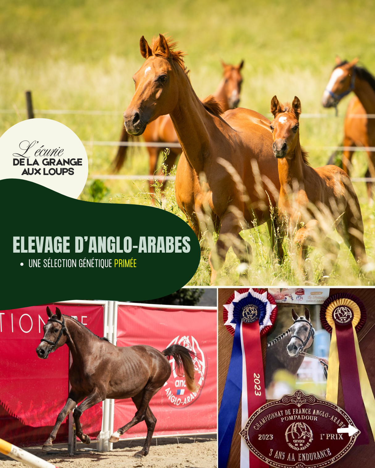 l'écurie de la grange aux loups - 5.png