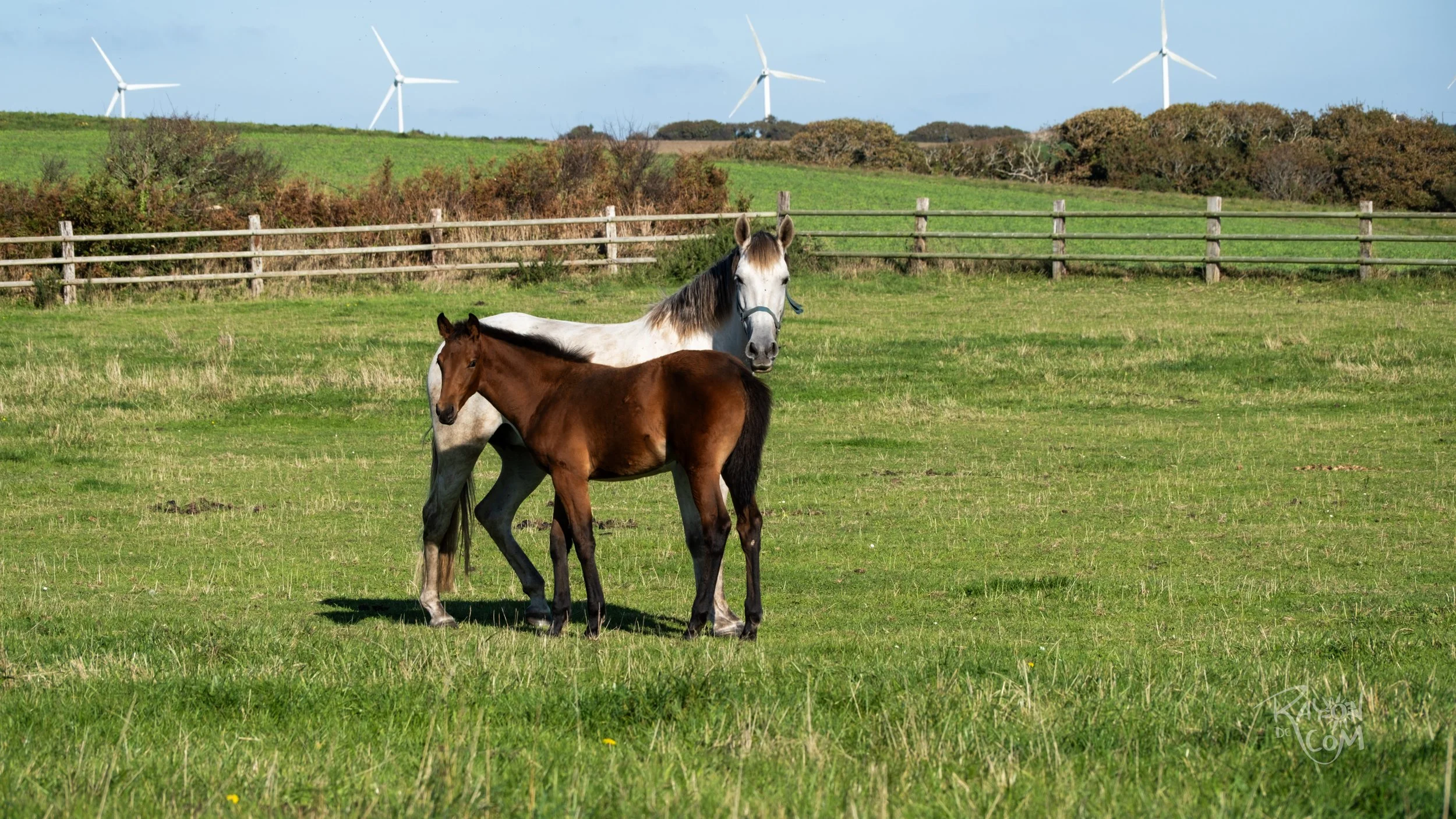 Rayon de Com -116.jpg