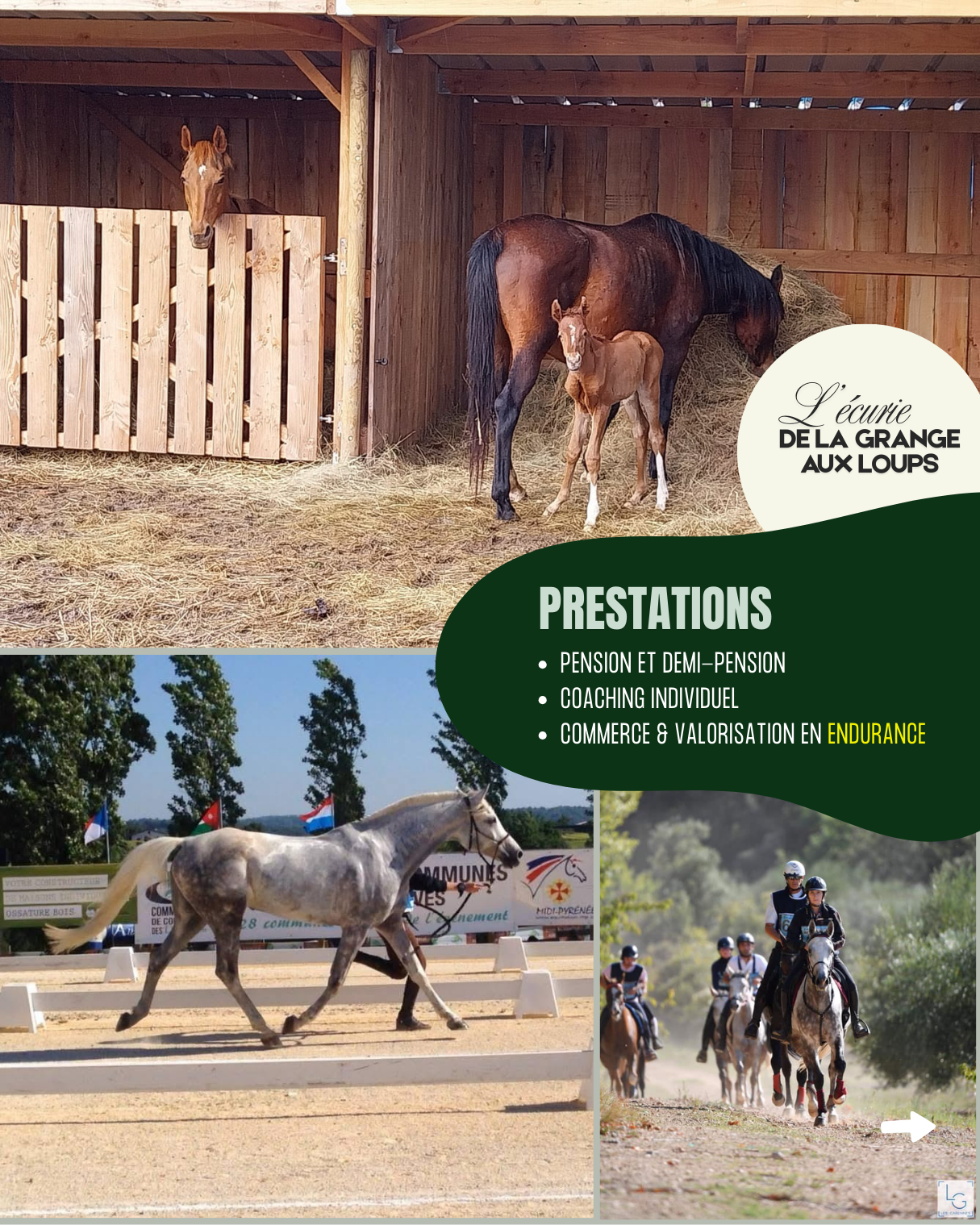 l'écurie de la grange aux loups - 6.png