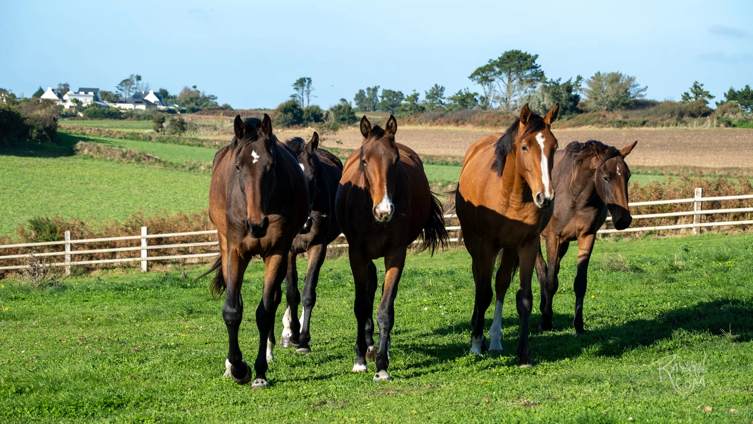 Rayon de Com -167.jpg