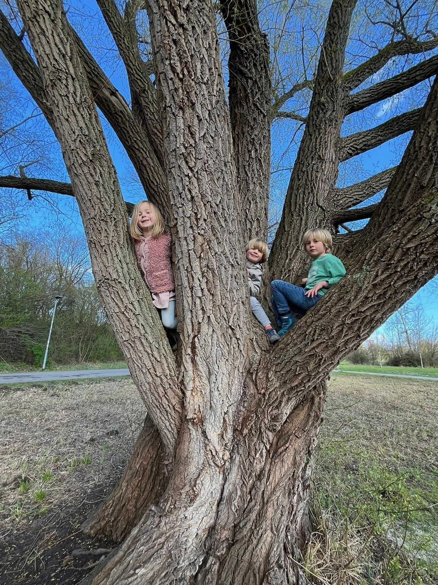 baum 1.jpg