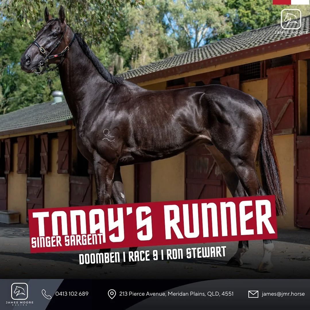 🐎 Today’s Runner – Singer Sargent
Singer Sargent heads to Doomben today in Race 9 with Ron Stewart in the saddle.
He’s drawn a nice gate and should take improvement from his first-up run. The team is hopeful he can run a nice race