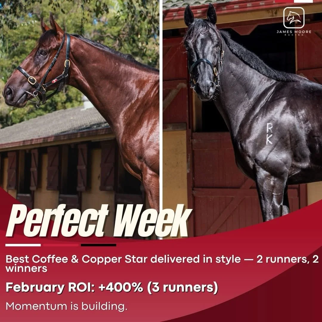 Perfect Week. 💪🐎

Best Coffee ☕ and Copper Star ⭐ both delivered in style, 2 runners, 2 winners.

February has produced a +400% ROI from just 3 runners, a great return for our owners and a reflection of careful placement and patience.

Momentum is 