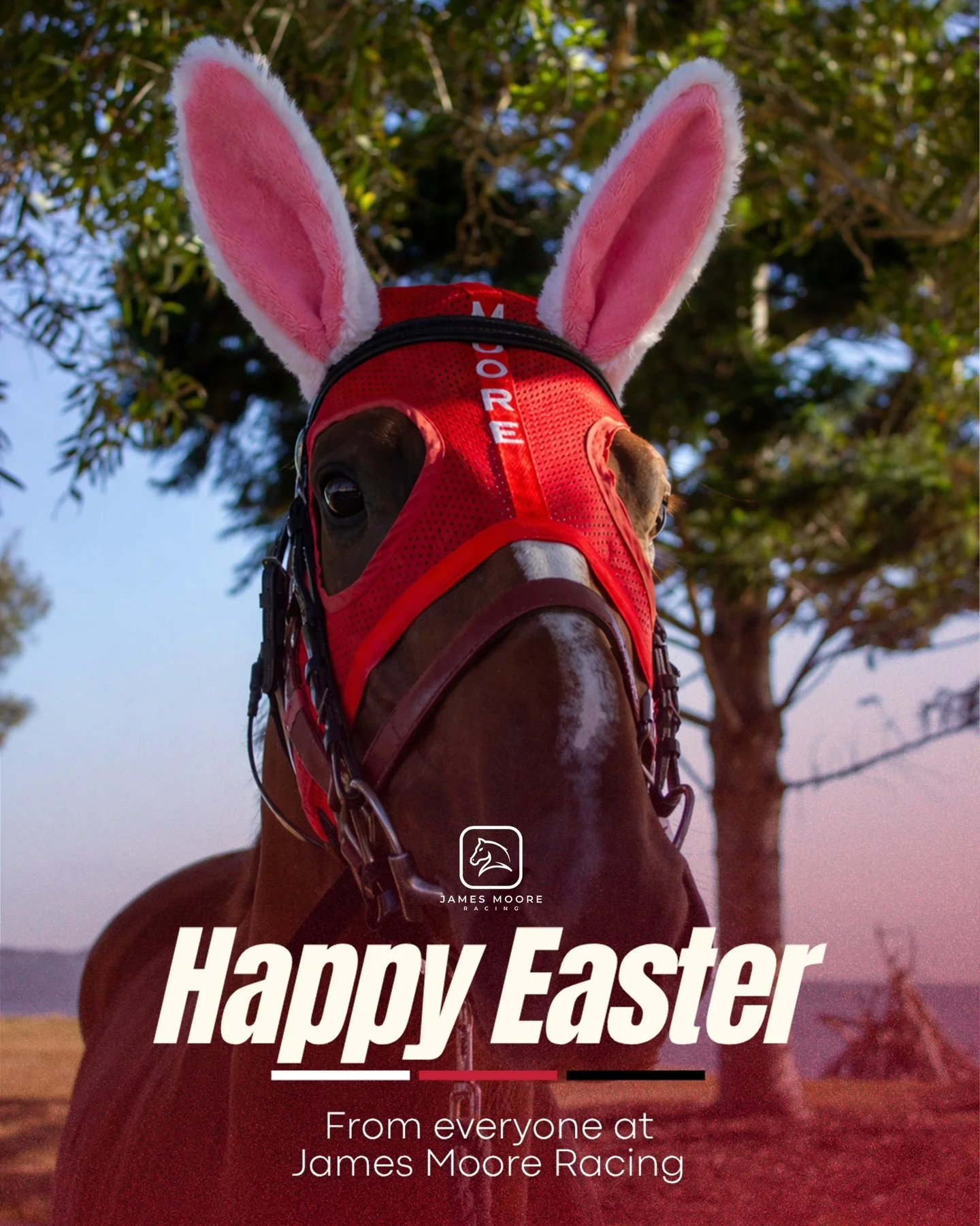 Happy Easter from the team at JMR! 🐰❤️

Wishing all our owners, supporters and friends a safe and happy Easter filled with plenty of winners (and chocolate)! 🐎

#jamesmooreracing
