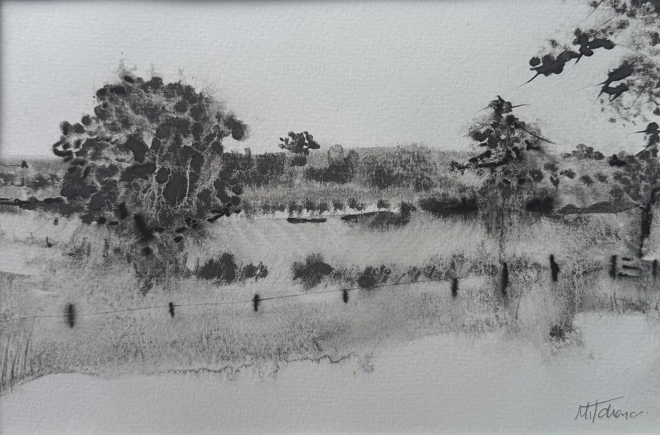 Across the Field to the Vineyard
Watersoluble Charcoal on paper
Framed 30cm x 40cm
£280
