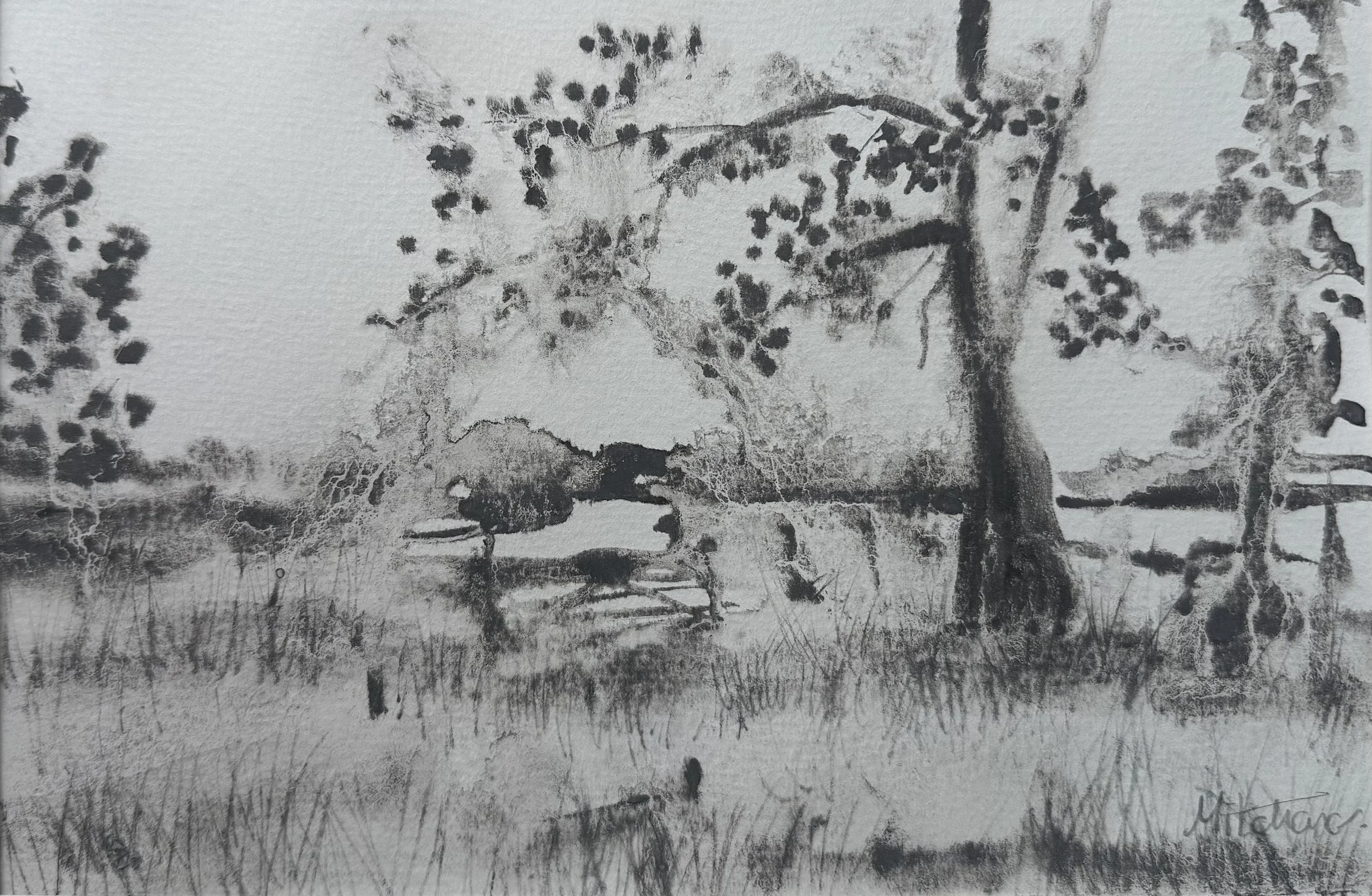 Through the Gate to the Lane Beyond
Watersoluble Charcoal on paper
Framed 30cm x 40cm
£280
