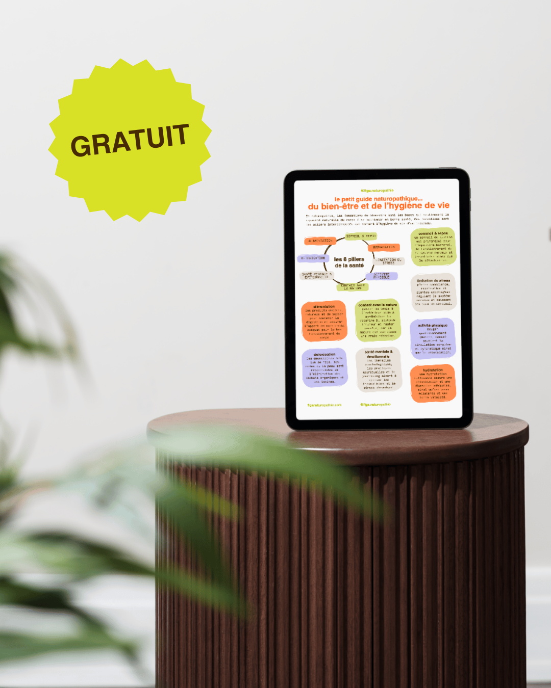 (GRATUIT) Petite guide naturopathique du bien-être et de l'hygiène de vie