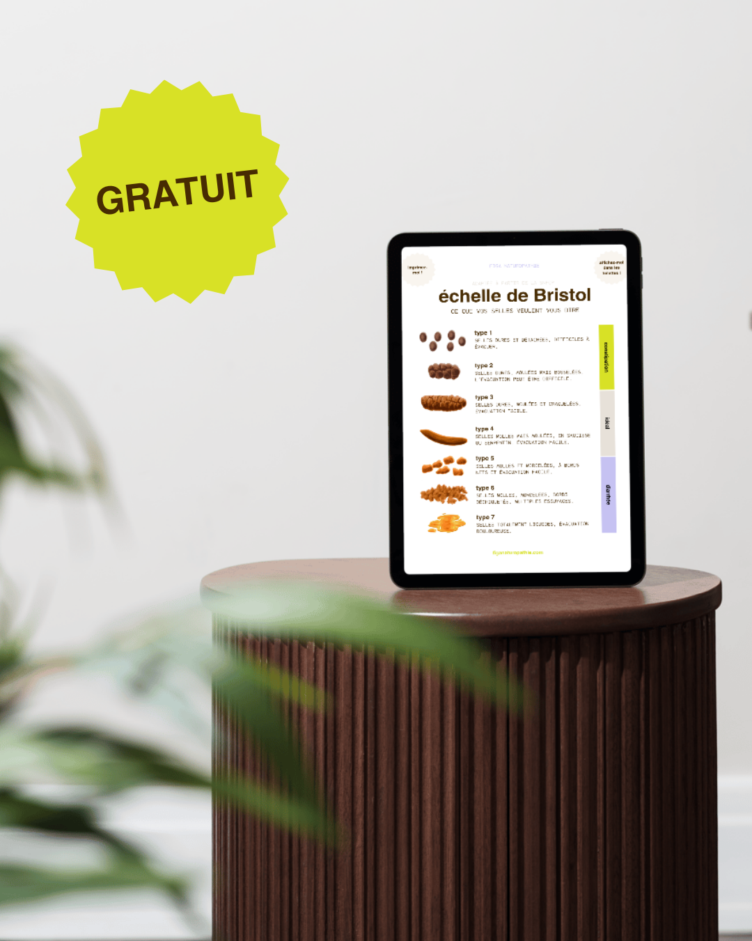 (GRATUIT) Échelle de Bristol — ce que vos selles veulent vous dire