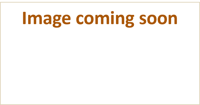 Biang-Style Noodles 褲帶麵 £4.40/kg