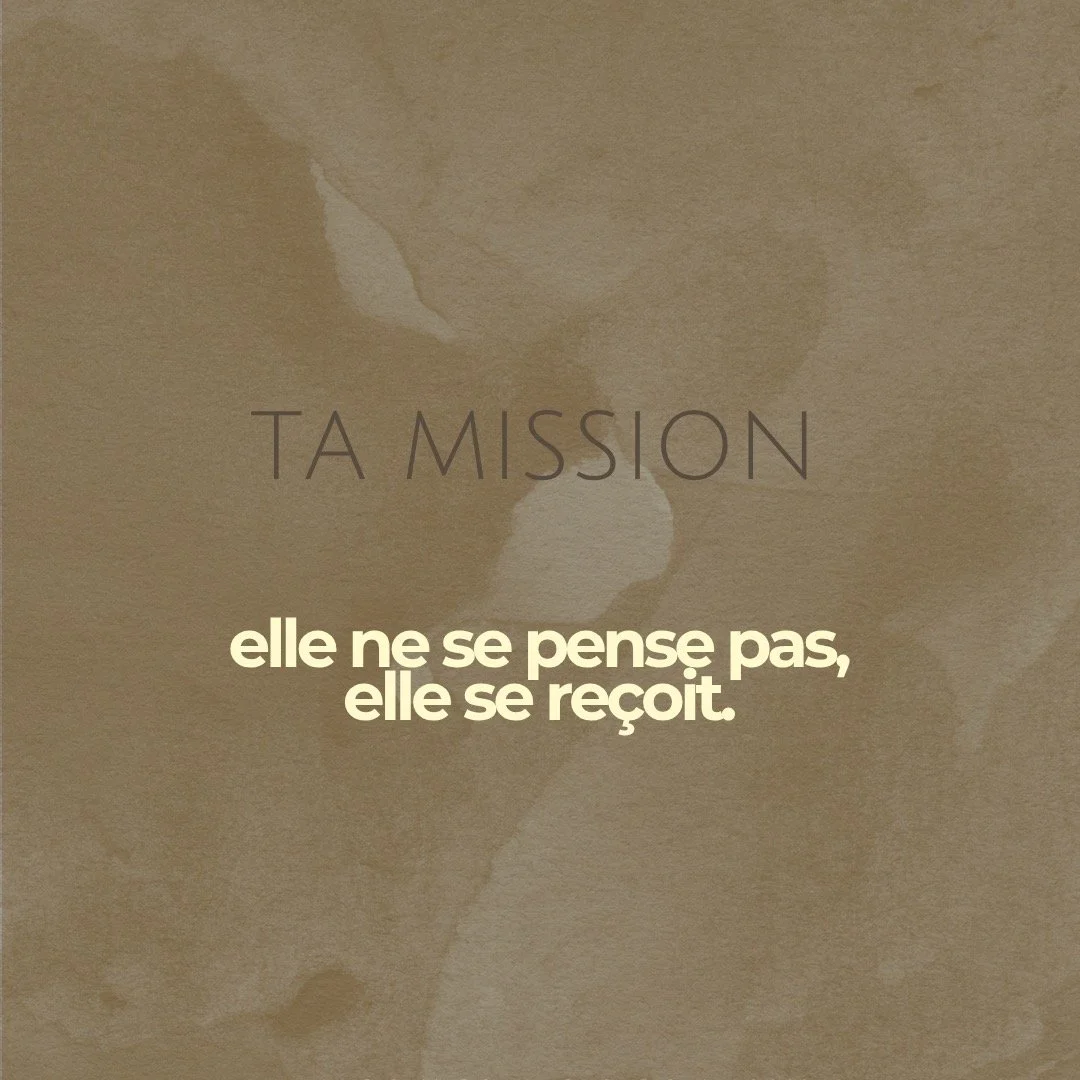 Je ne sais pas o&ugrave; tu en es sur ton chemin de mission.

Mais une chose est s&ucirc;re : il est temps de voir la beaut&eacute;.

Parce que pour en arriver &agrave; recevoir ta mission, tu as d&eacute;j&agrave; travers&eacute; un chemin profond&e