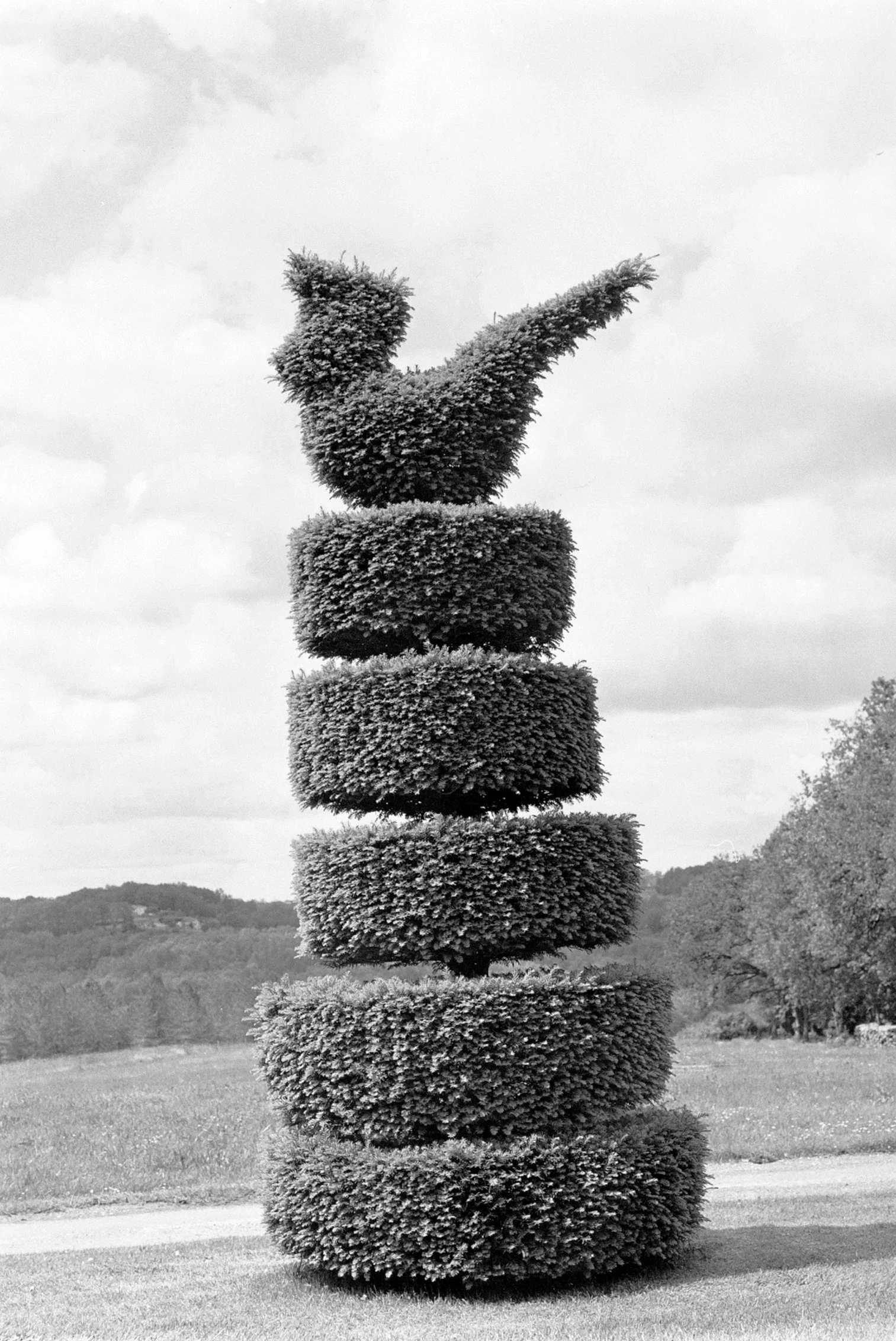 Exposition • Pelages Revêches par Tanguy Muller