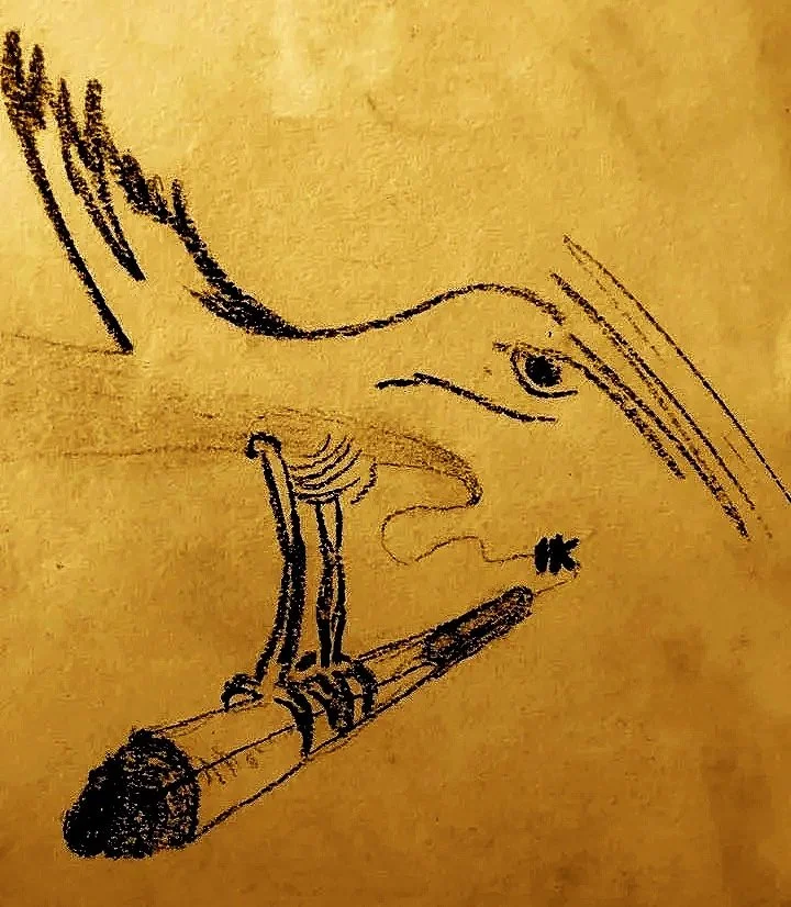 Cover Art by anonymous for Double Dutch magazine issue 3, May 2026