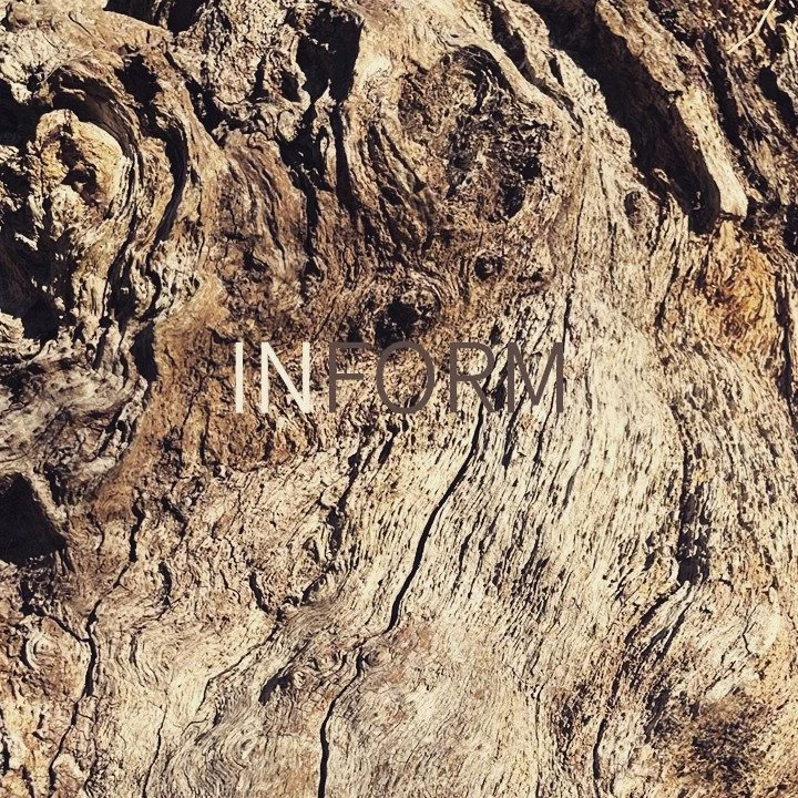 #acupuncture #eastlondon #tcm #walthamstow #acupuncturist