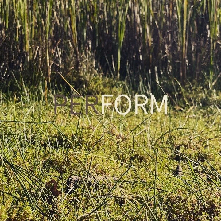 #acupuncture #eastlondon #tcm #walthamstow #acupuncturist