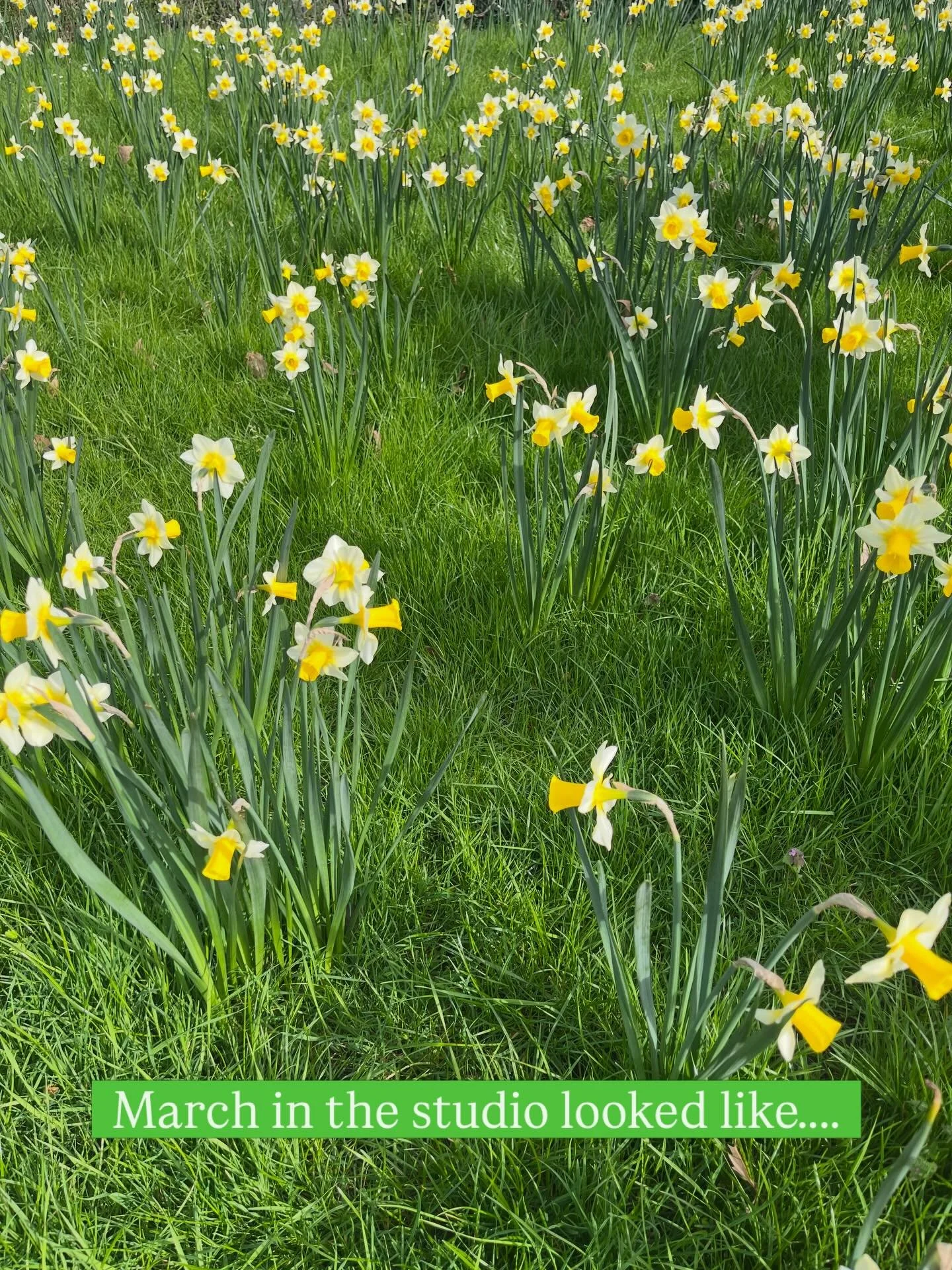 I love the transition into spring; a season of renewal and growth. In acupuncture and TCM, it&rsquo;s considered the wood season, the time to support your Liver energy, encourage smooth flow, and embrace fresh beginnings.

Support in the studio in Ma