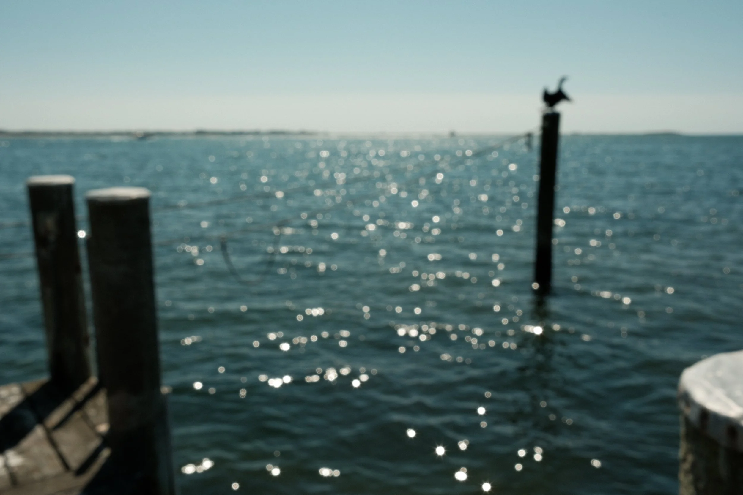 Stonington Borough, summer 2025