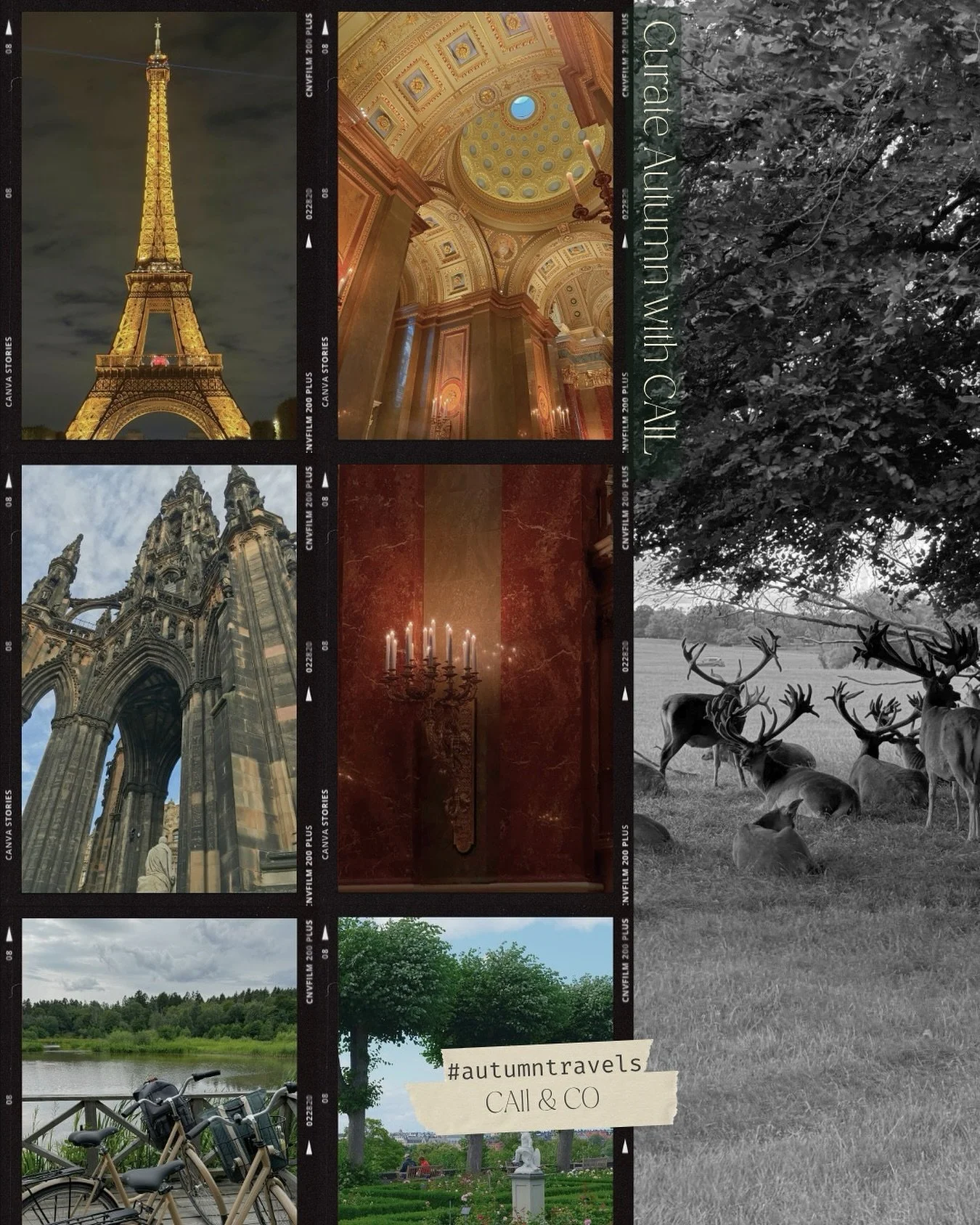 Autumn is the season that teaches us how to slow down &mdash; to trade the rush of summer for the warmth of stillness and soft discovery.

In Banff, the air carries the scent of pine and woodsmoke, mountains mirrored in glassy lakes that seem to hold