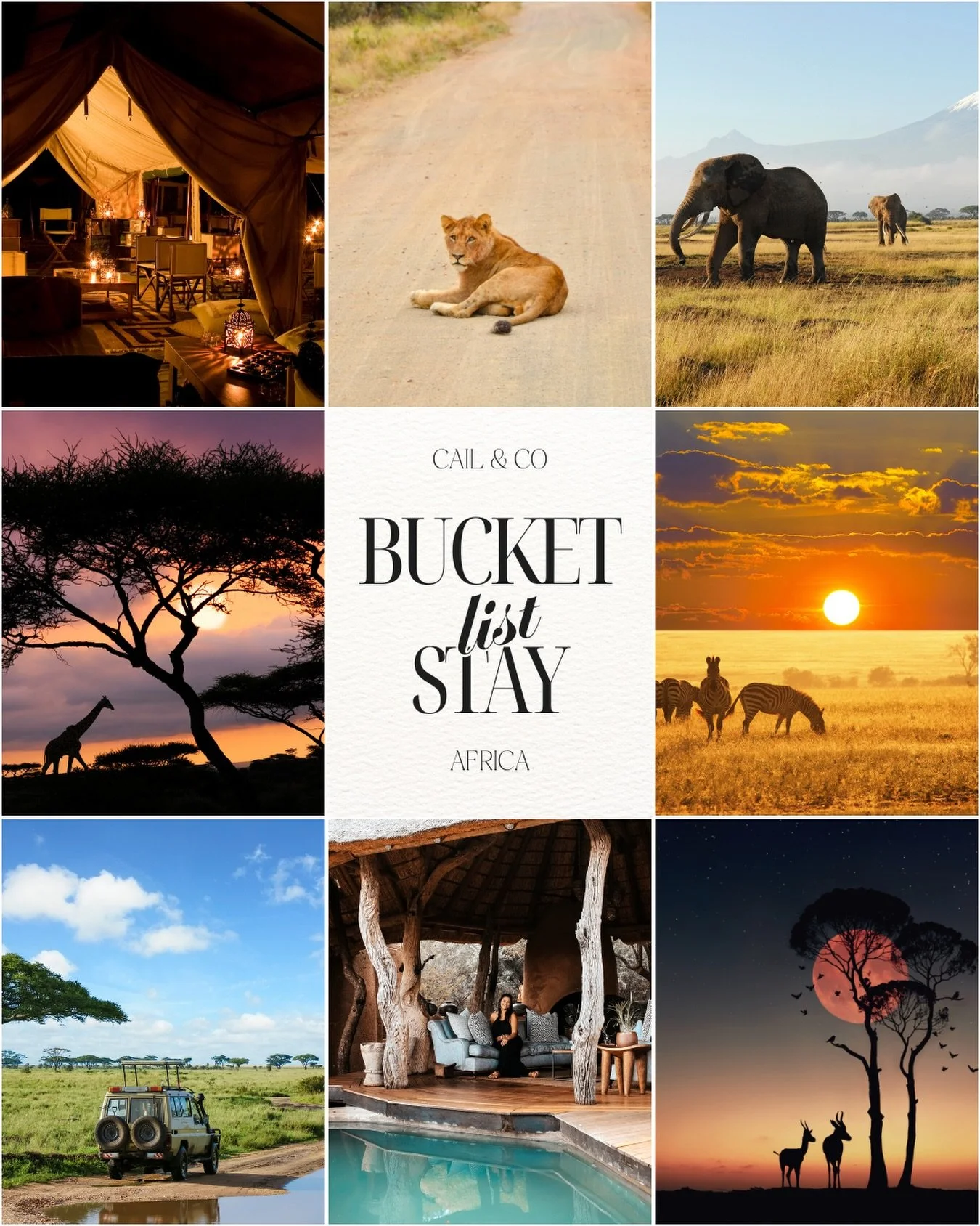 Bucket List Stay: Safari in Ultimate Luxury
Imagine sipping your morning coffee while elephants roam the savannah below.
Luxury safari lodges combine unforgettable wildlife encounters with five-star comfort.
🦁 Daily game drives with expert guides
🔥