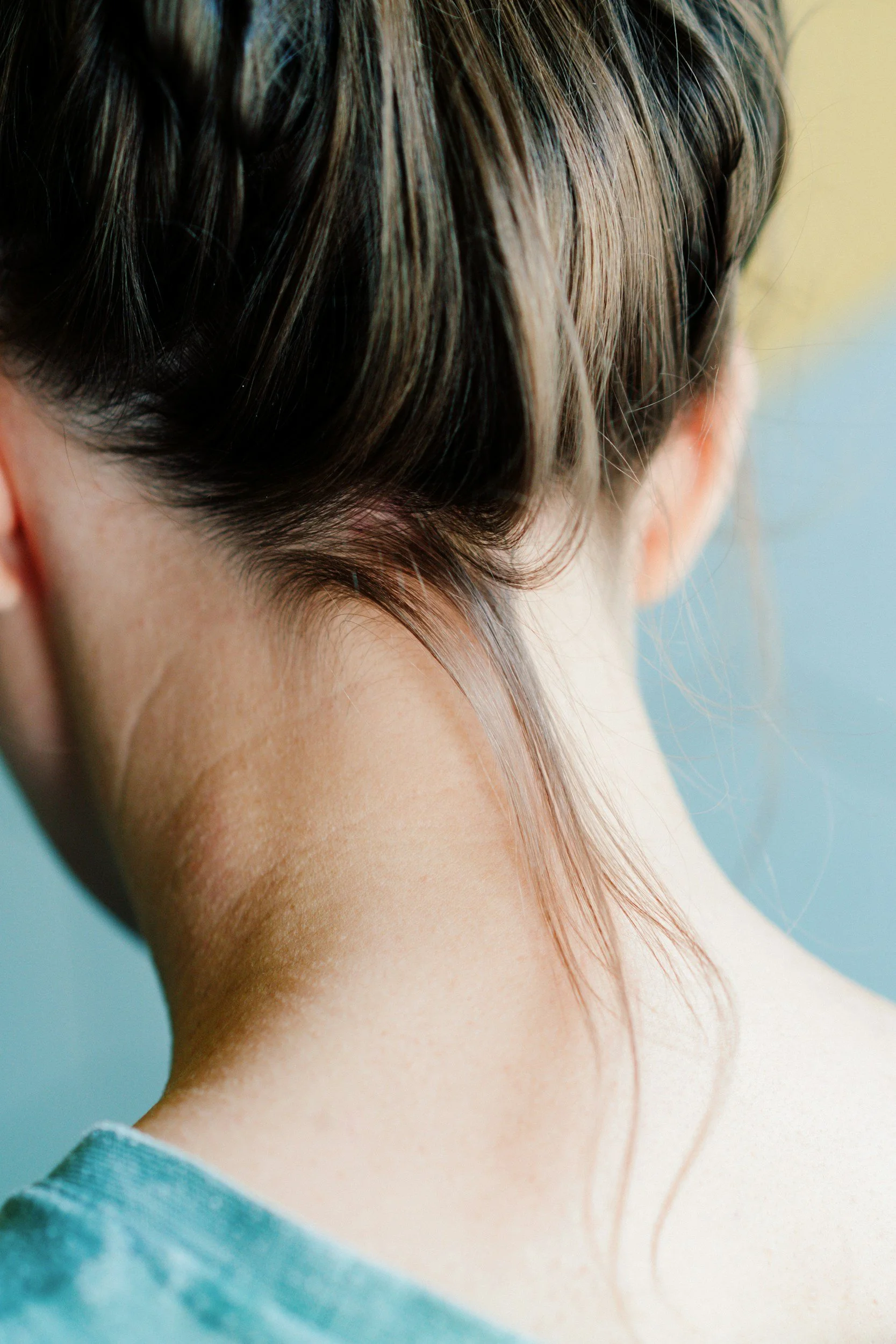 Back of a woman's head showing a hairstyle with a braid and loose dark hair with lighter highlights, and a hair strand falling down her neck.