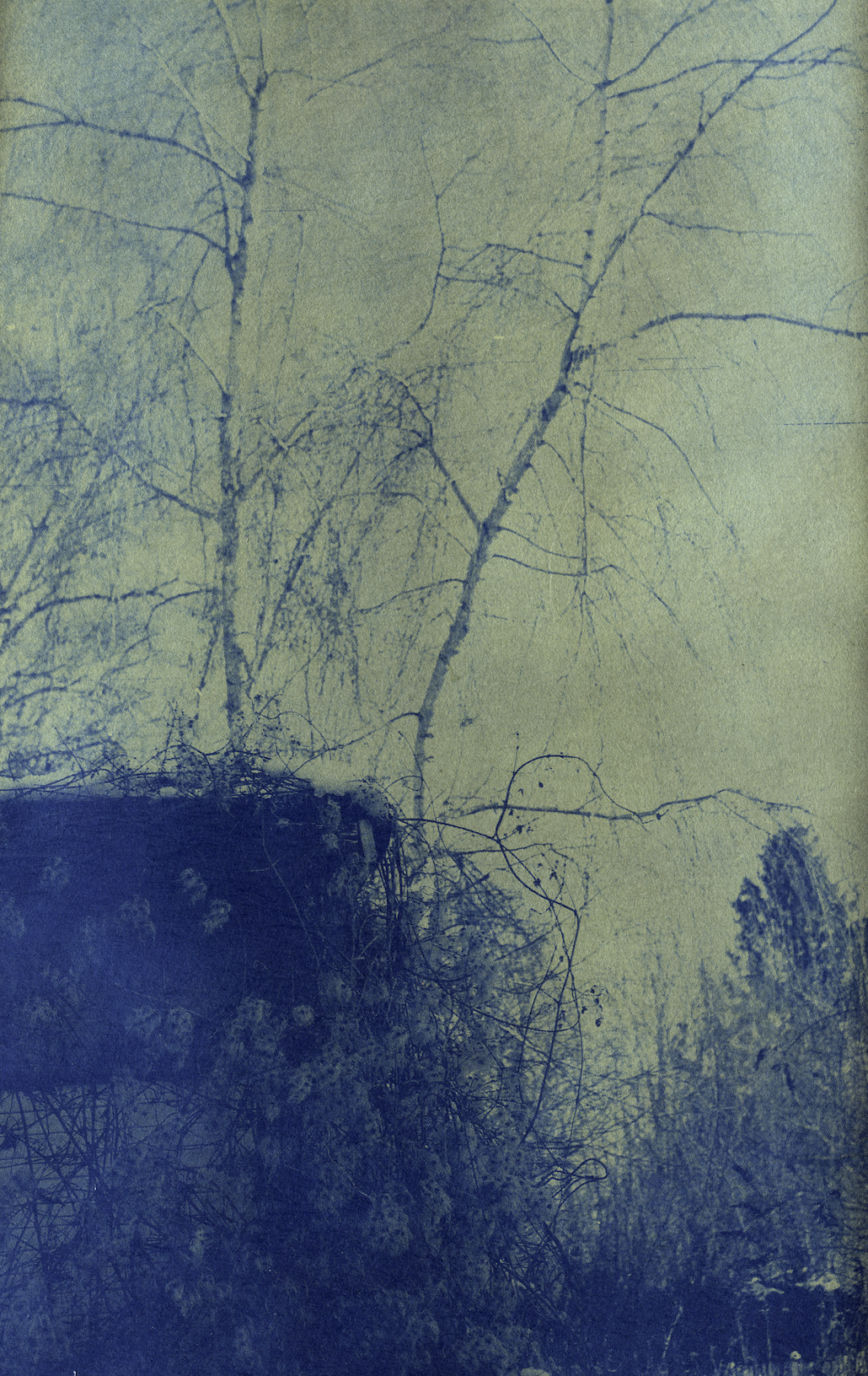 Screenshot 2025-10-20 at 14.59.24.png