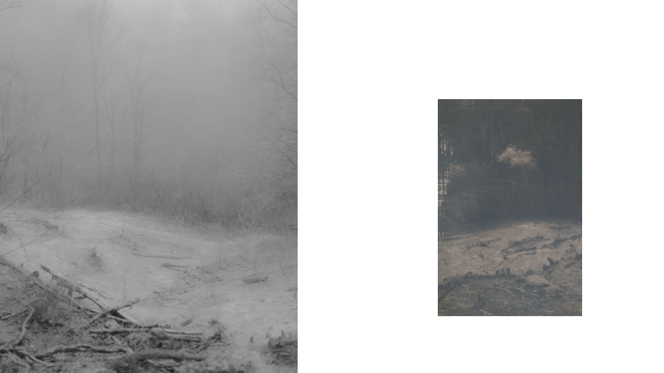Former sand quarry in the 50's, turned into a space for motocross and scout activities. These activities have prevented natural reforestation, but over time they have also led to severe erosion of the slopes. Today, the presence of bare ground is key