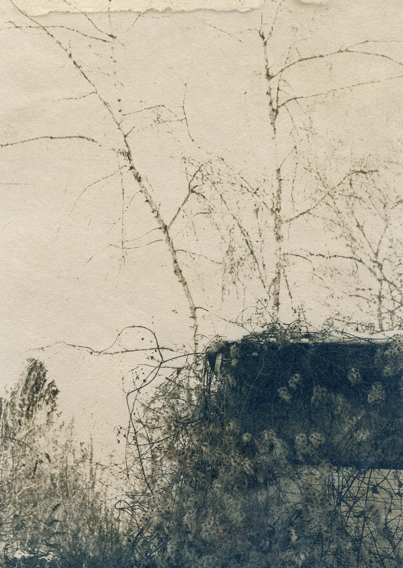 12_BaoliMaria_Houses Grow_.jpg