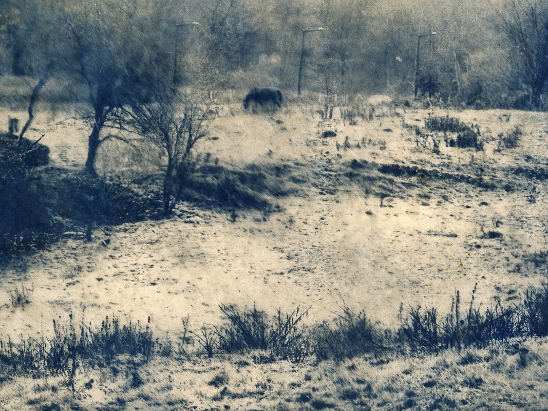orlane the mare kauwbergHouses grow faster -Maria Baoli-h800.jpg