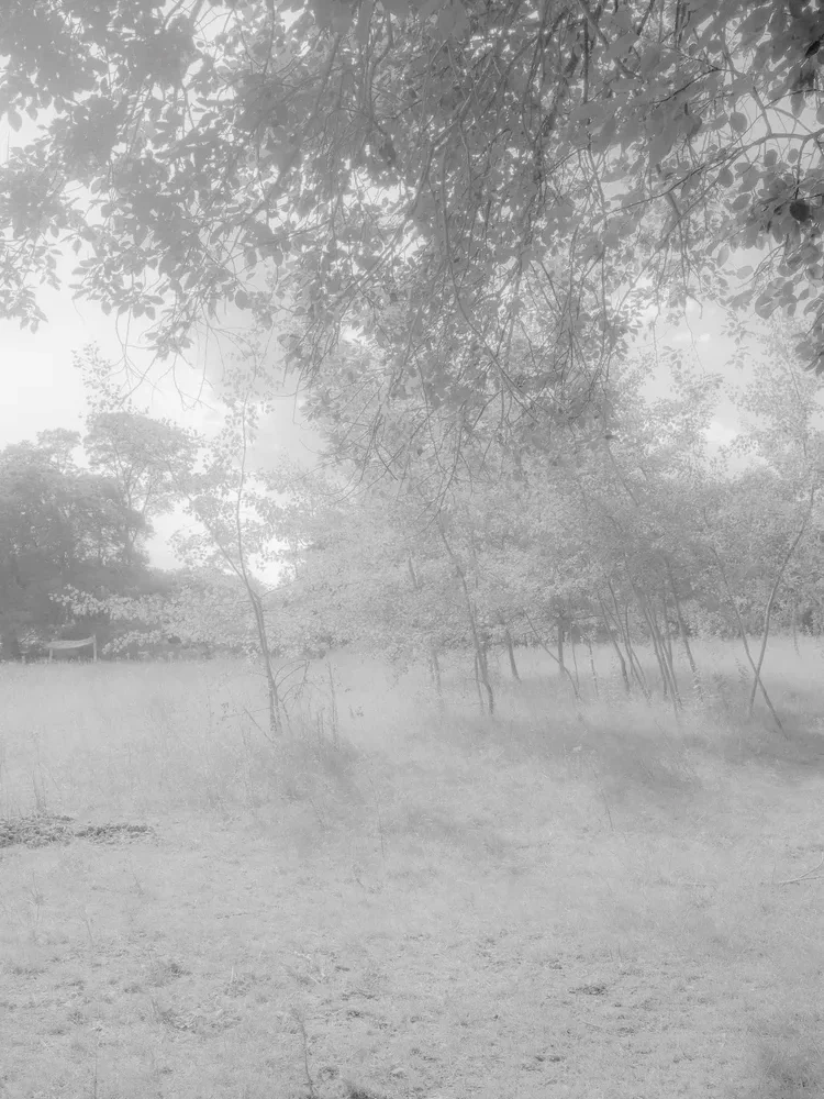 DSCF4823-Maria+Baoli-bw.webp