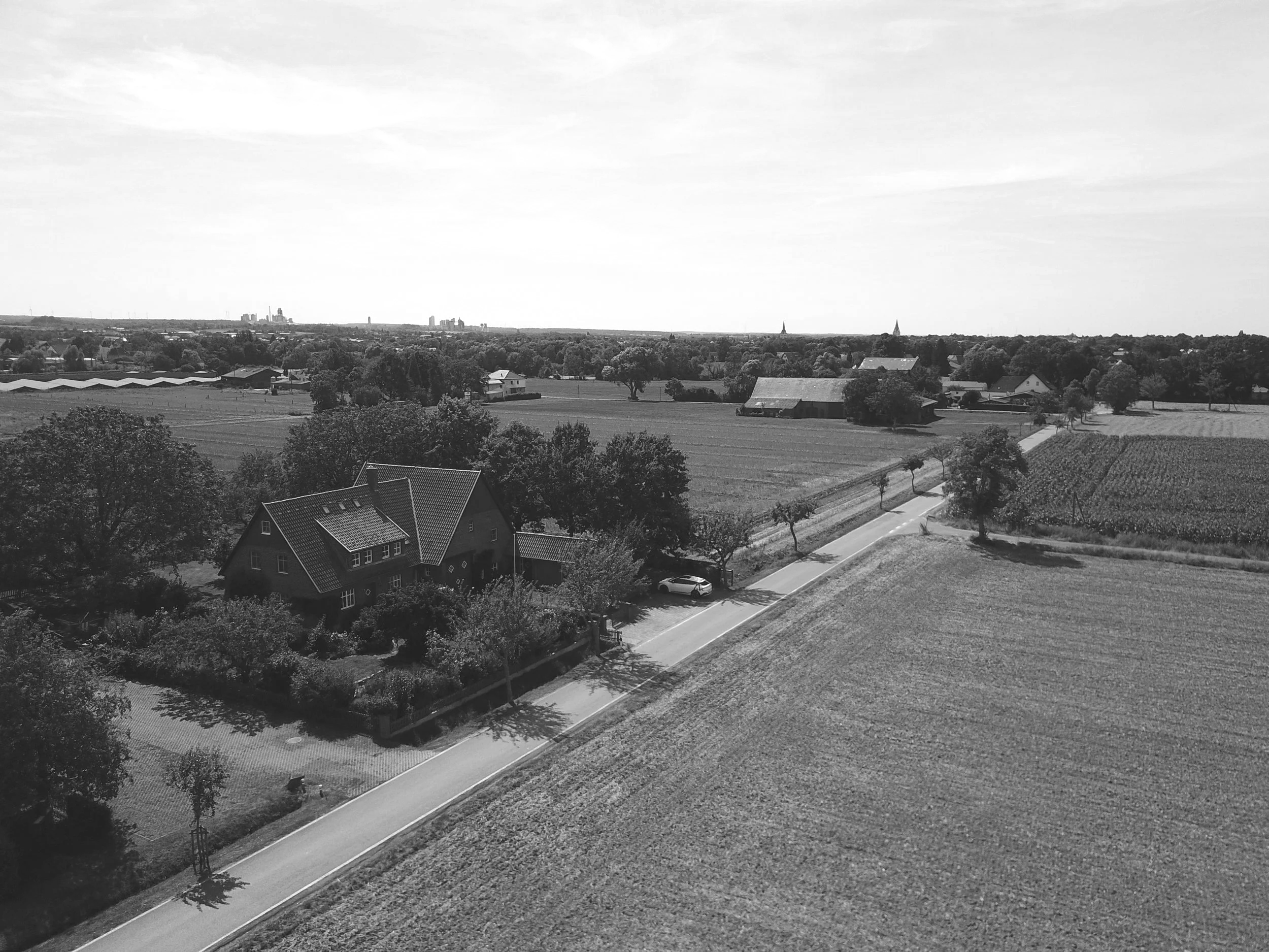 DJI_0050.png