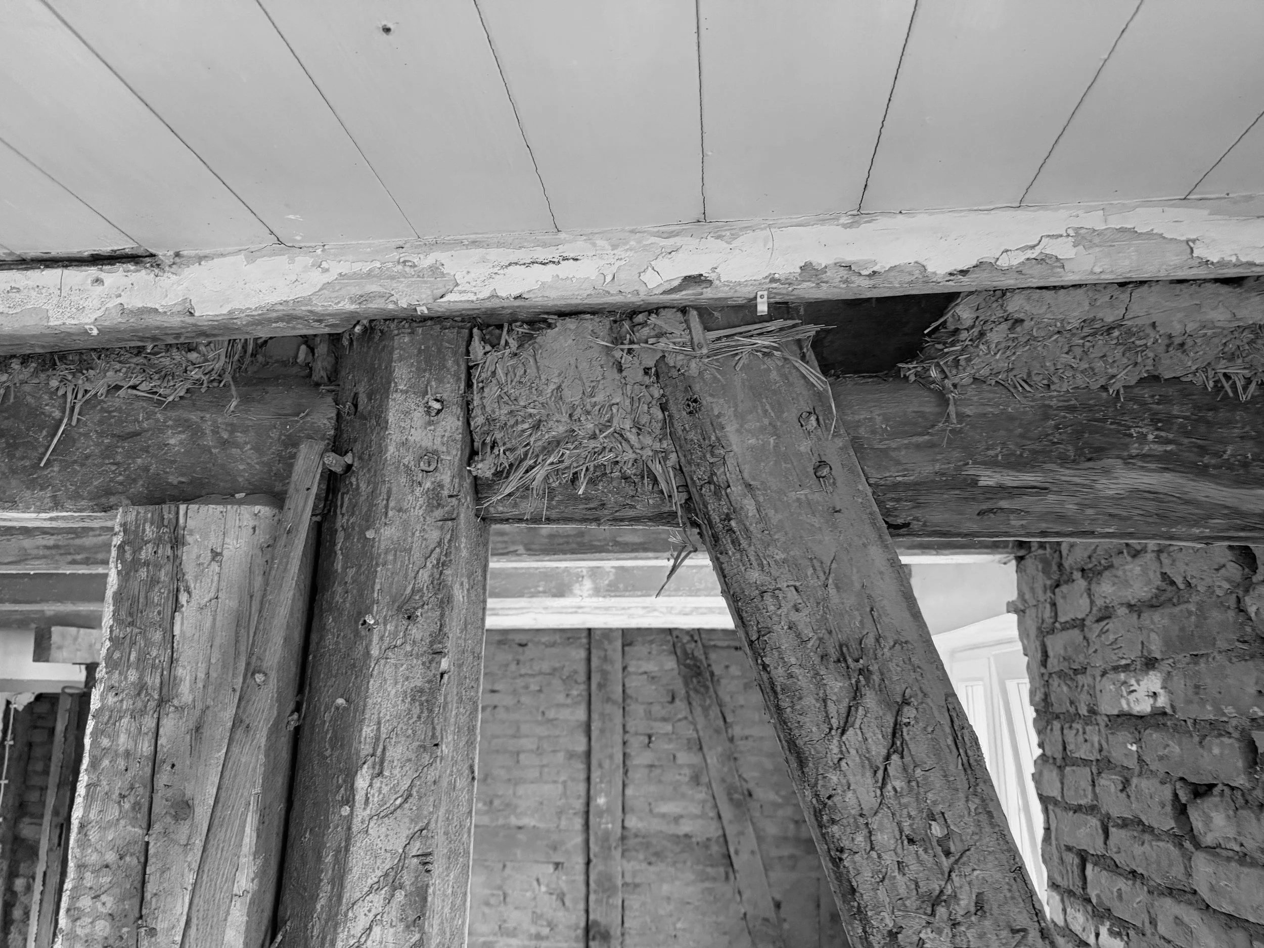 Schwarz-Weiß-Foto eines alten, angelehnten Jochs zwischen Holzbalken, der Teil einer tragenden Konstruktion ist, vor einer Ziegelwand.
