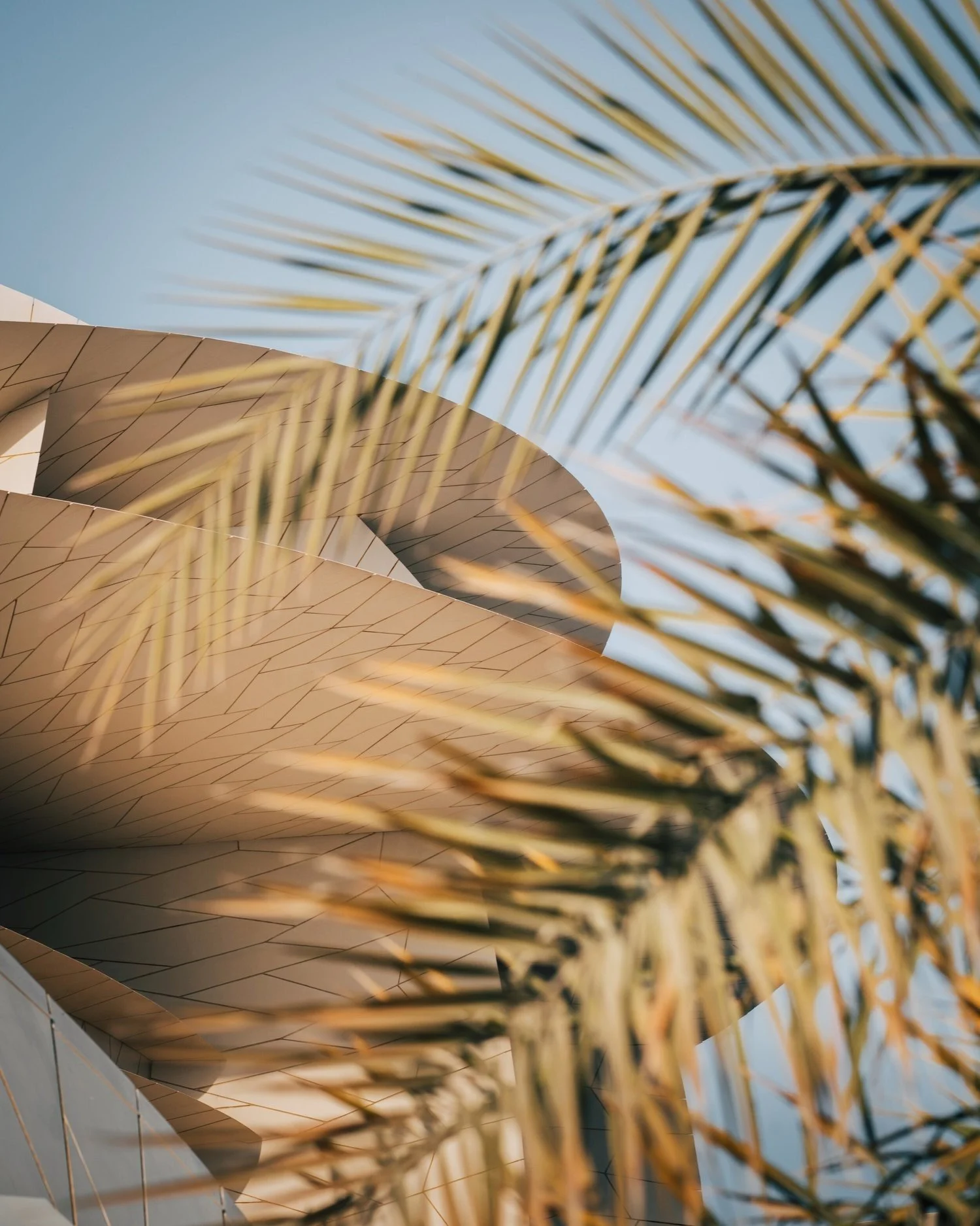 Visit Qatar. Photo by Joe Thomas.jpg