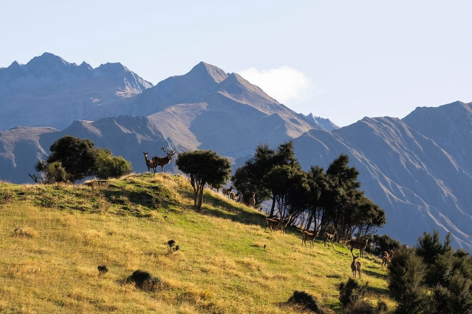 Mt Isthmus Luxury New Zealand Lodge. Photo by Joe Thomas.jpg