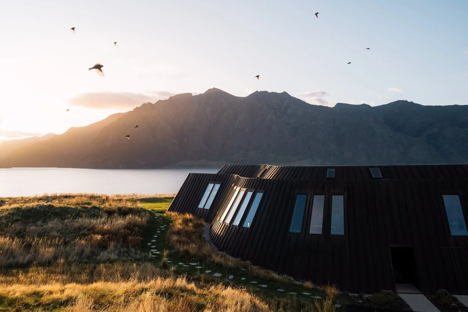 The Quiet Geometry of Joe Thomas