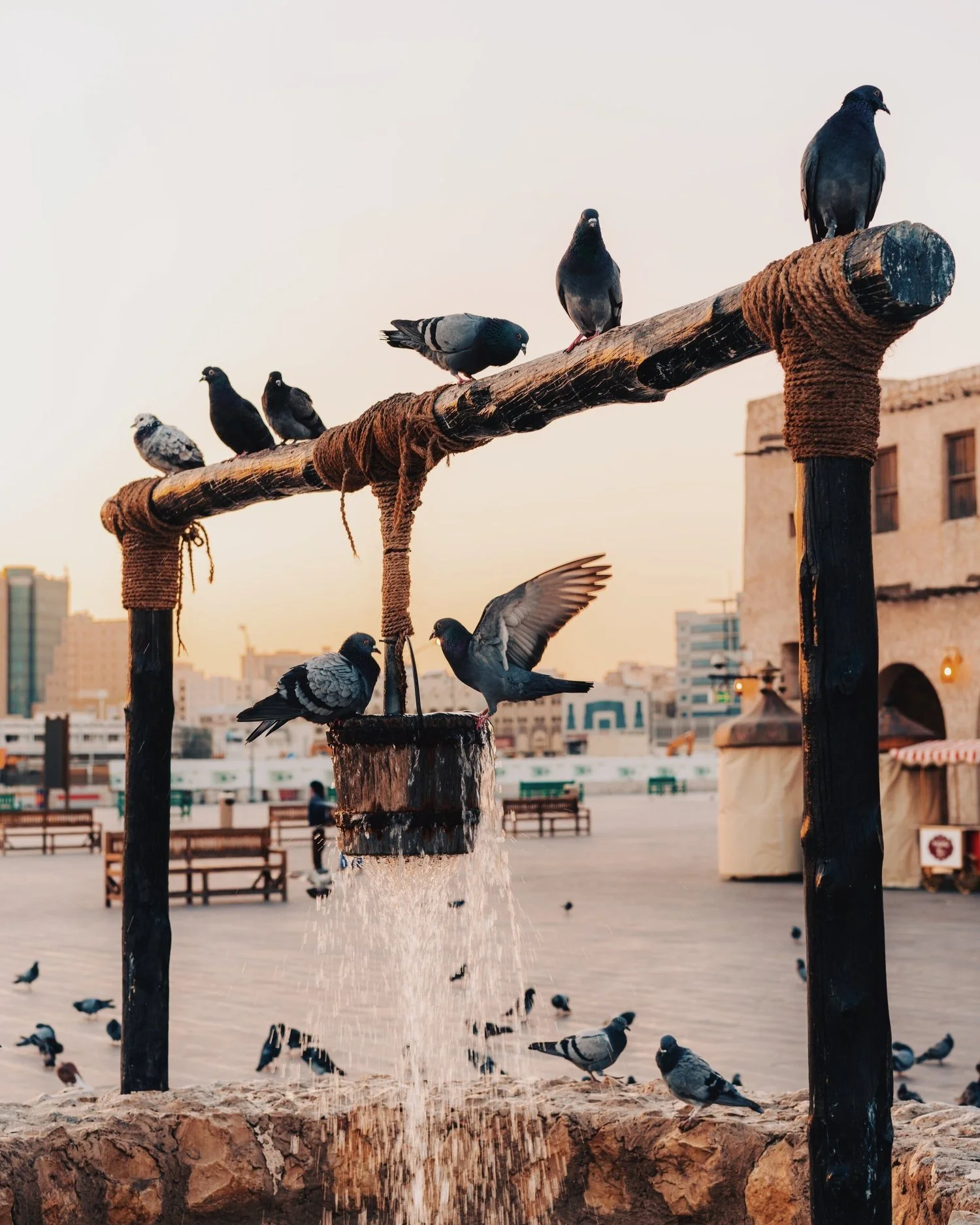 Visit Qatar. Photo by Joe Thomas.jpg