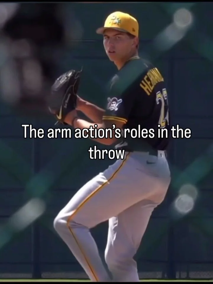 The arm action&rsquo;s roles in the throw

The arm action serves two main functions: loading the arm and timing flip up in conjunction with torso rotation.

It aids in loading when a pitcher captures momentum out of hand break and rides it down, back