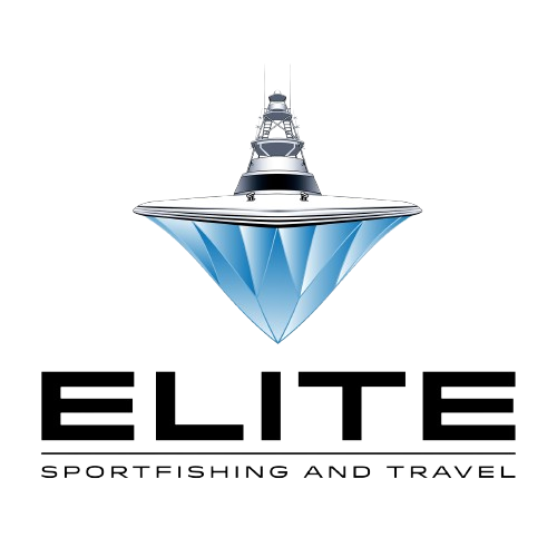 Elite Sportfishing &amp; Travel