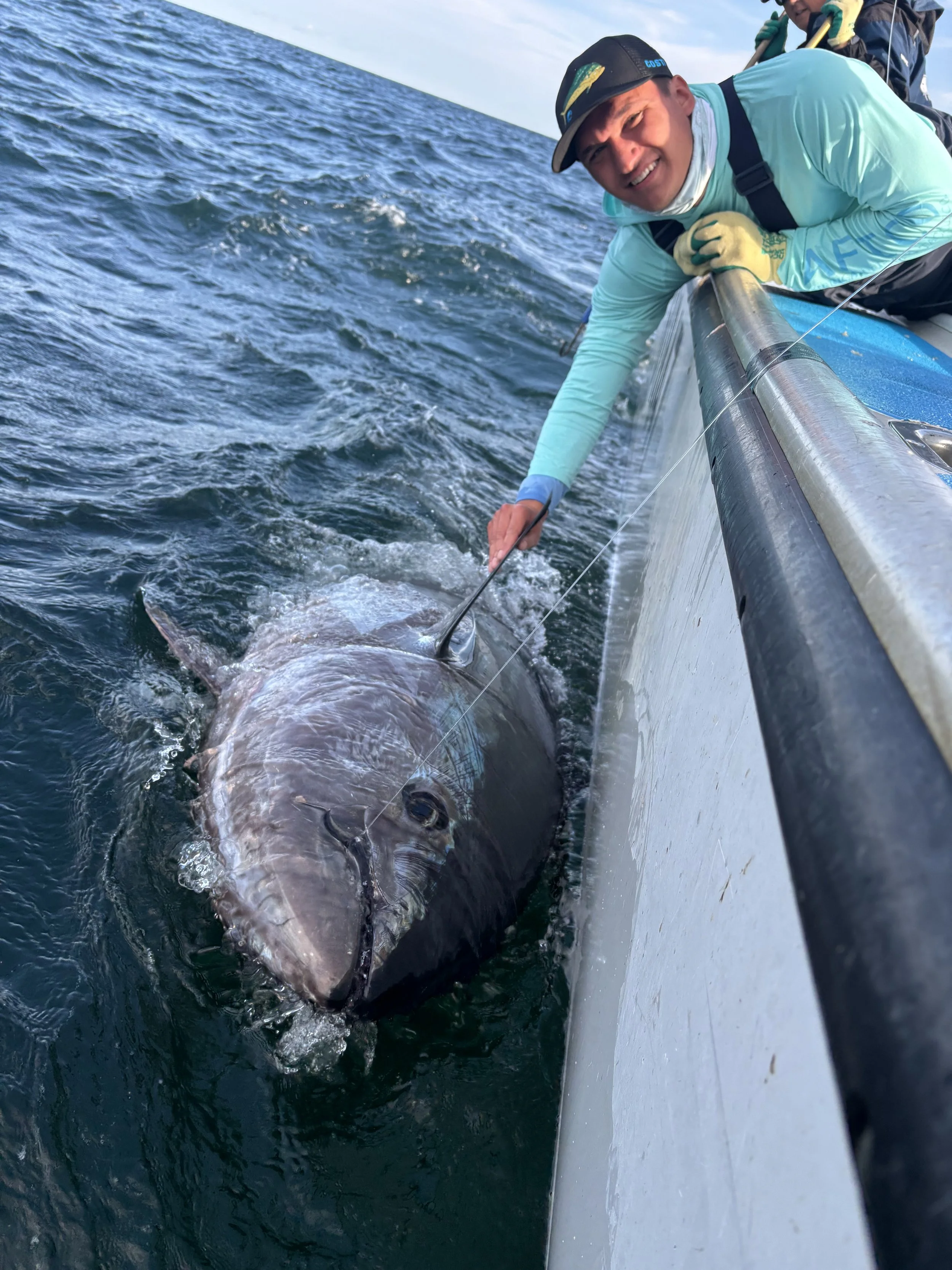 A young angler man getting ready to release his giant bluefin tuna caught in Nova Scotia.